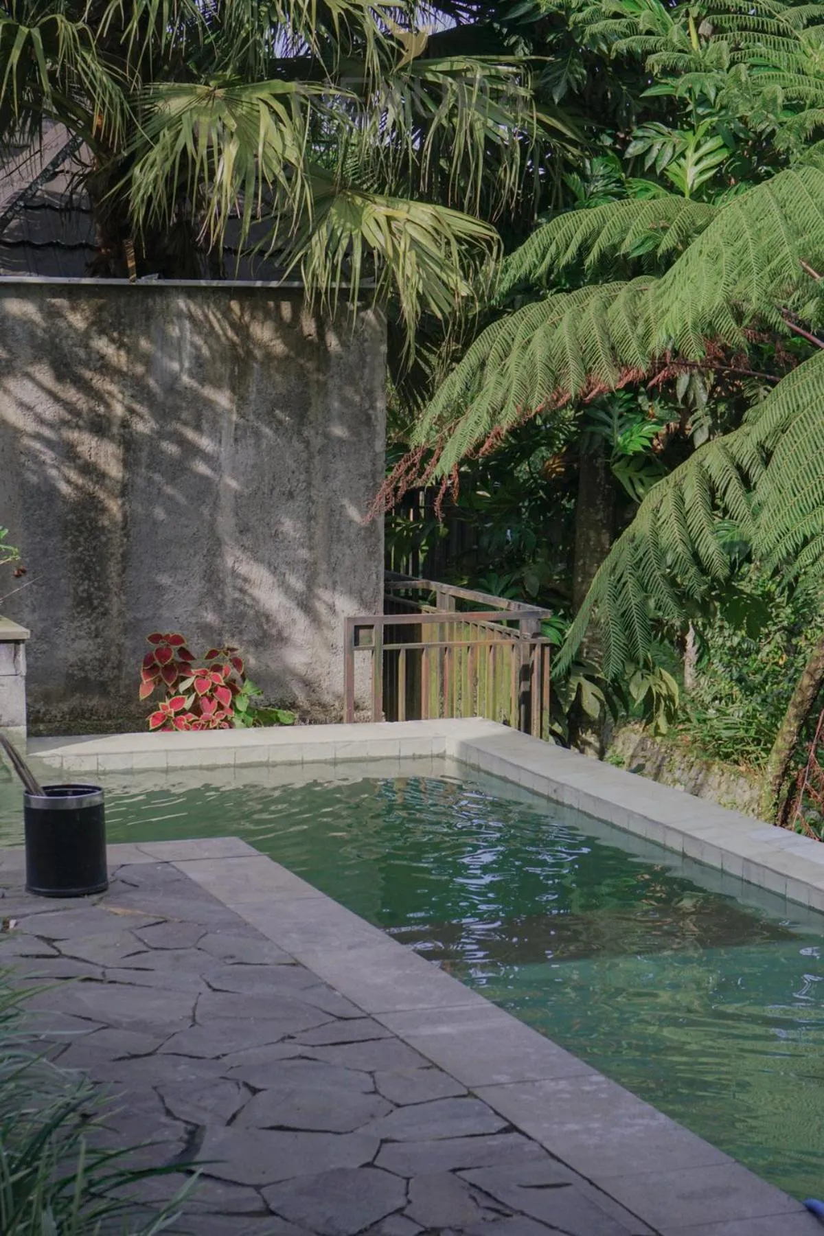 Jambu Klutuk Resort