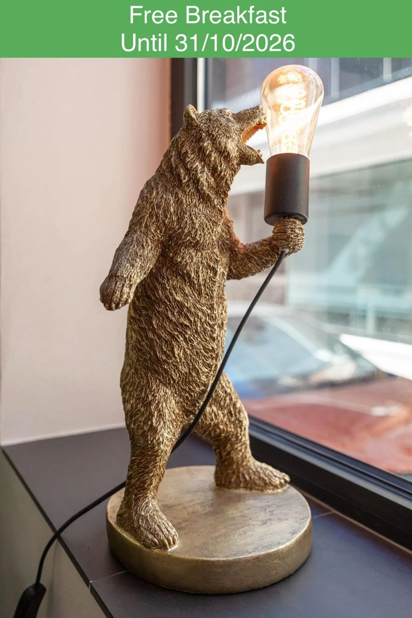 The Bear and Ween