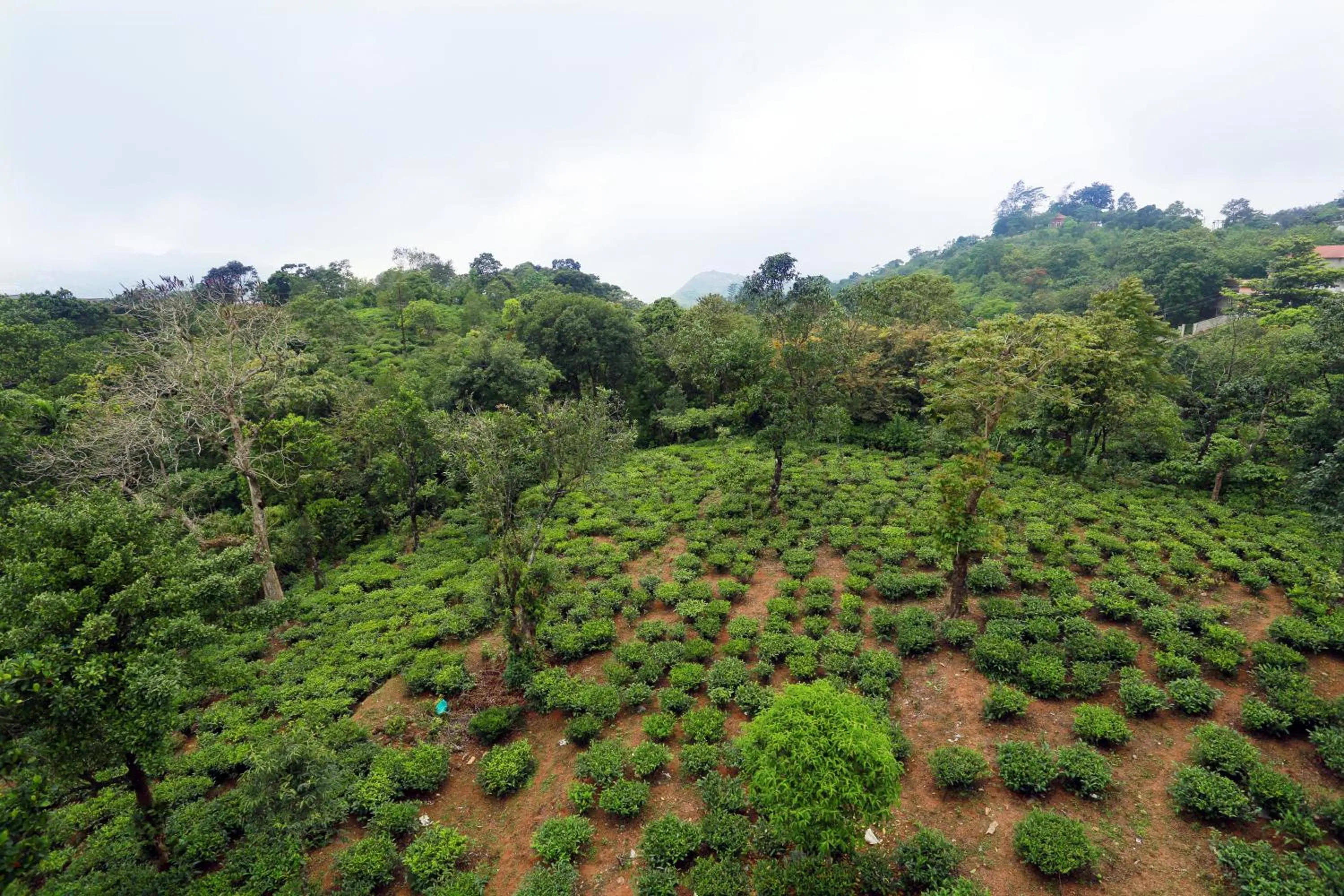 View (from property/room) in Chillax Vagamon