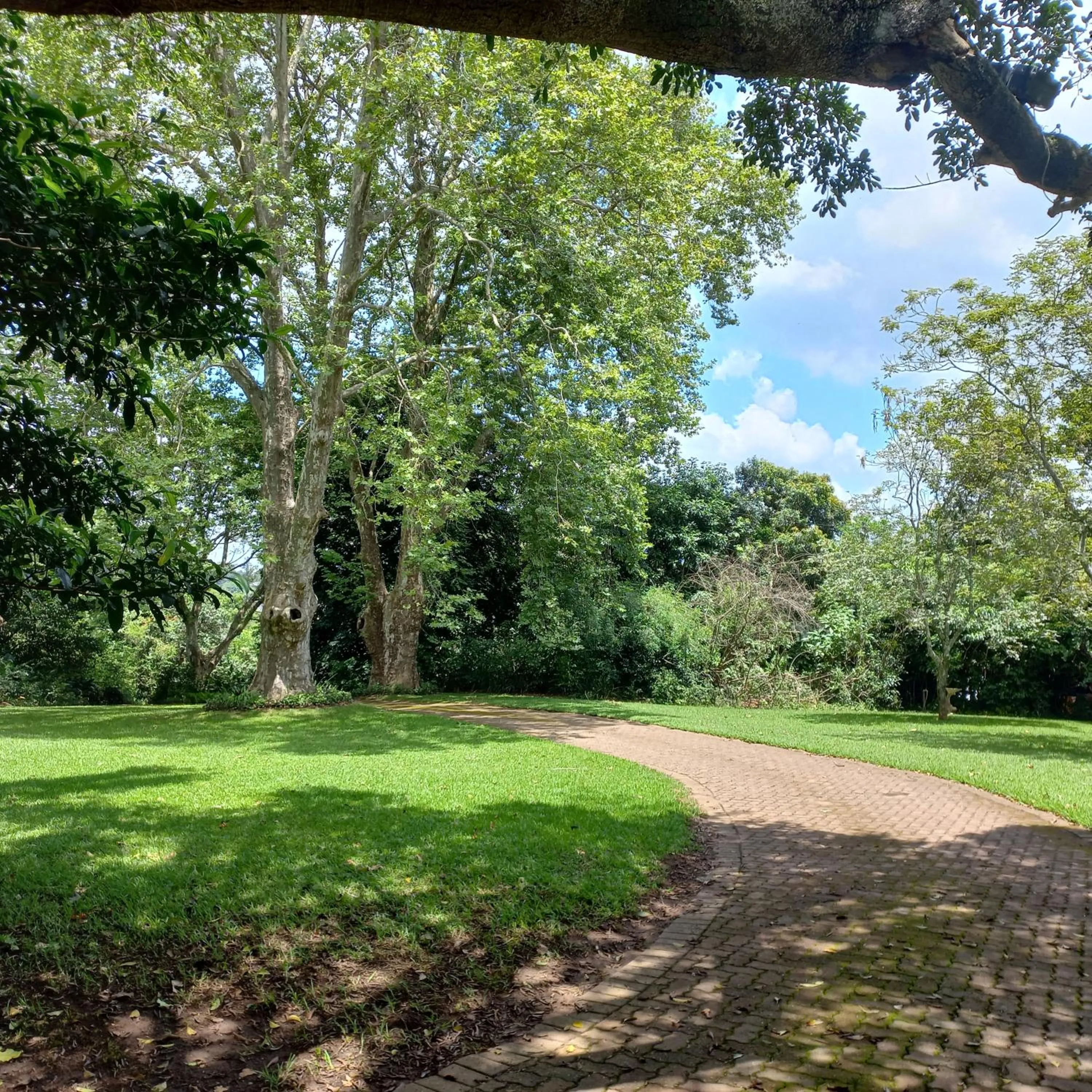 Natural landscape in 18 Pioneer BnB