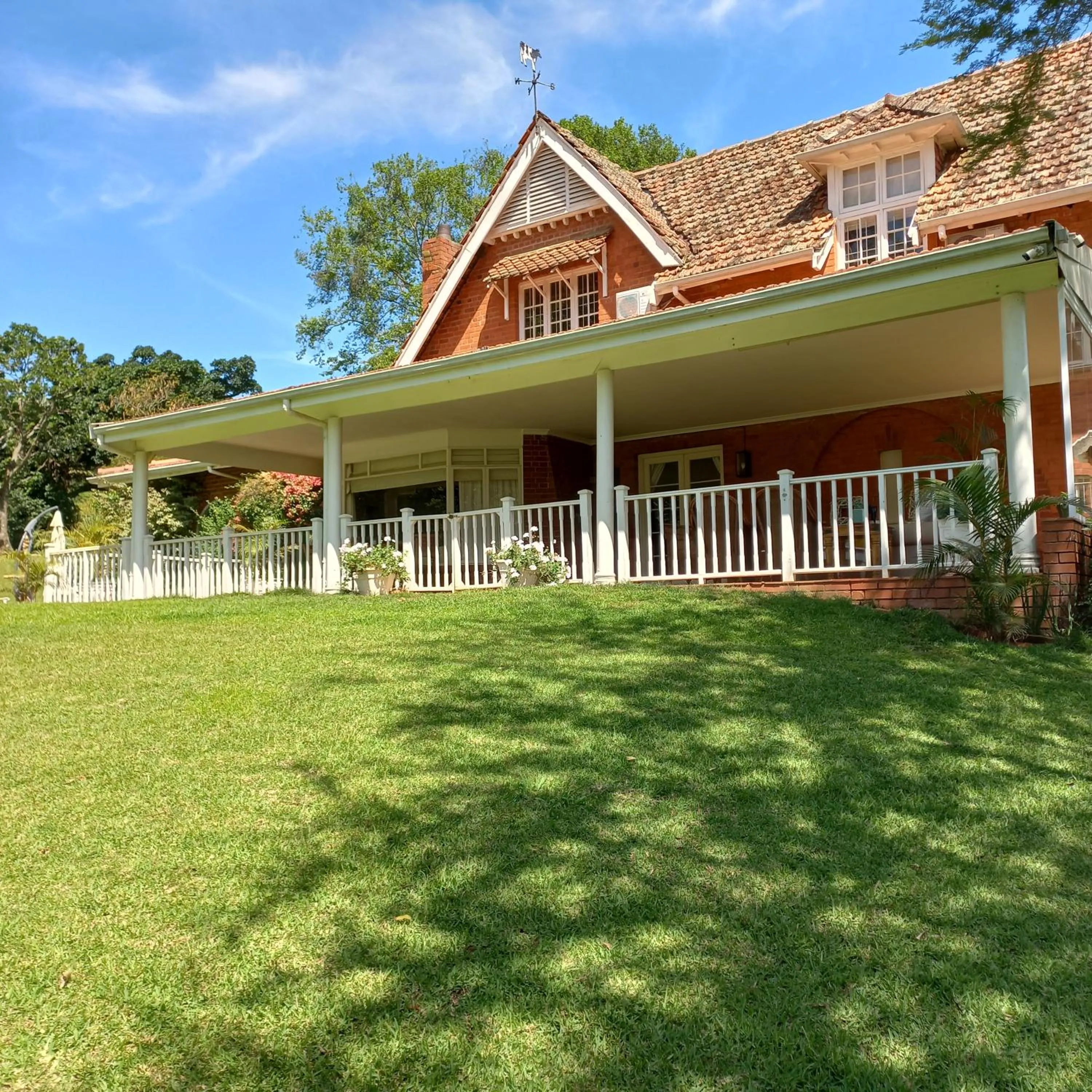 Garden view in 18 Pioneer BnB