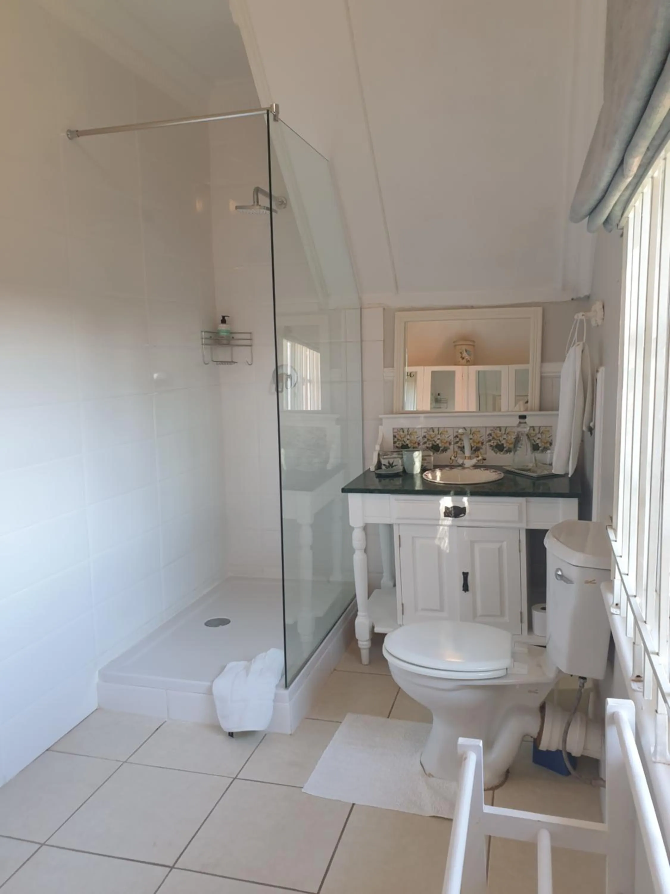 Shower in 18 Pioneer BnB