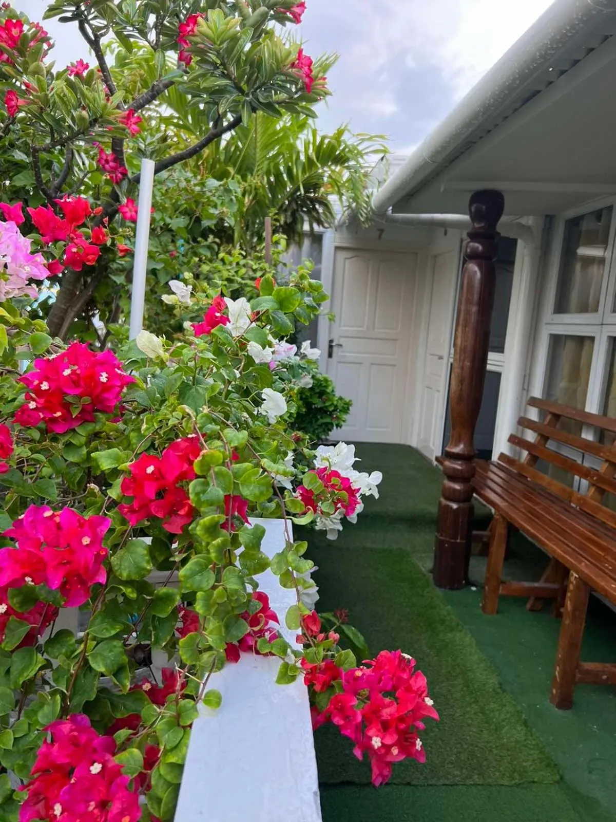 Garden in Rooftop Rooms