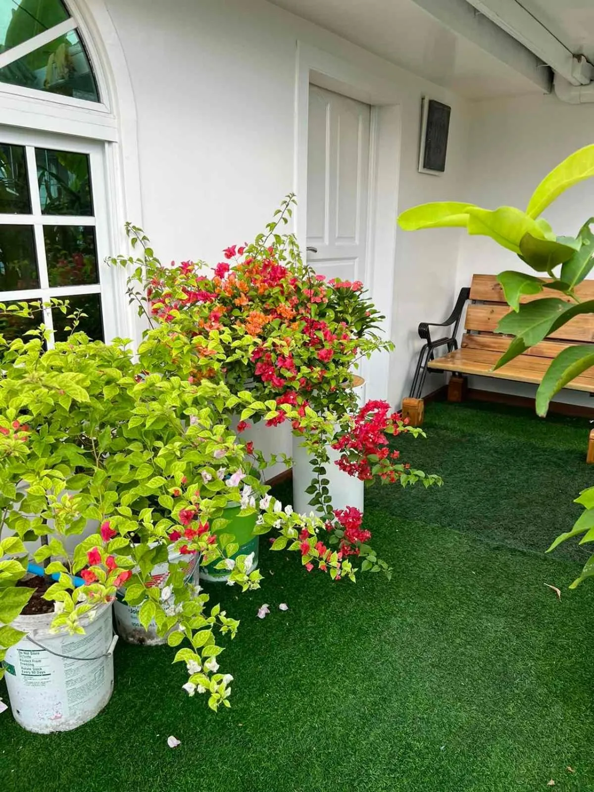 Garden in Rooftop Rooms