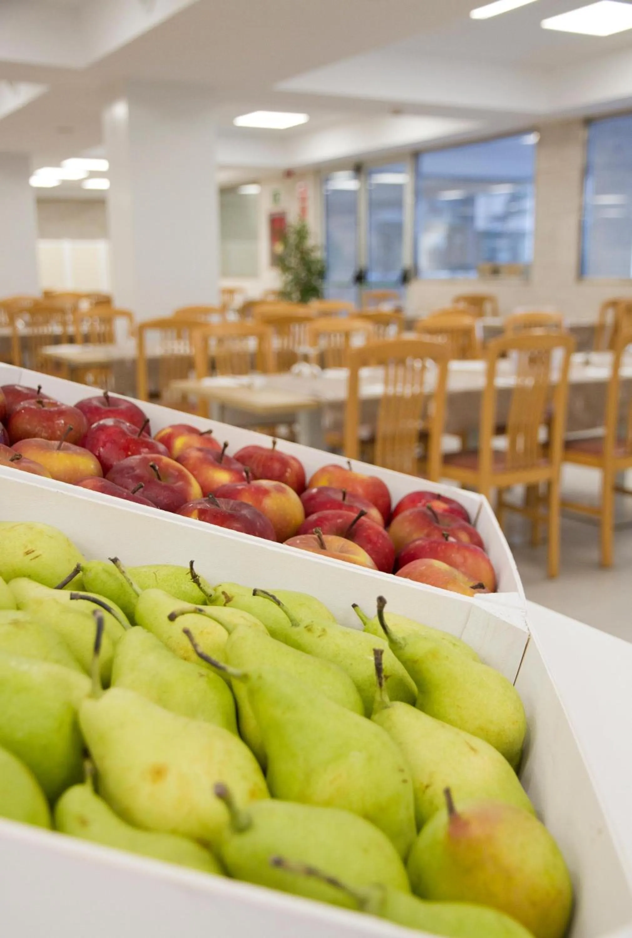 Restaurant/places to eat in ALEGRIA Fenals Mar