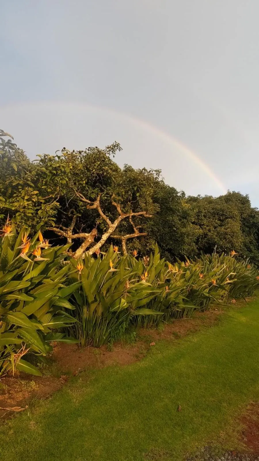 Hotel Rancho Las Margaritas