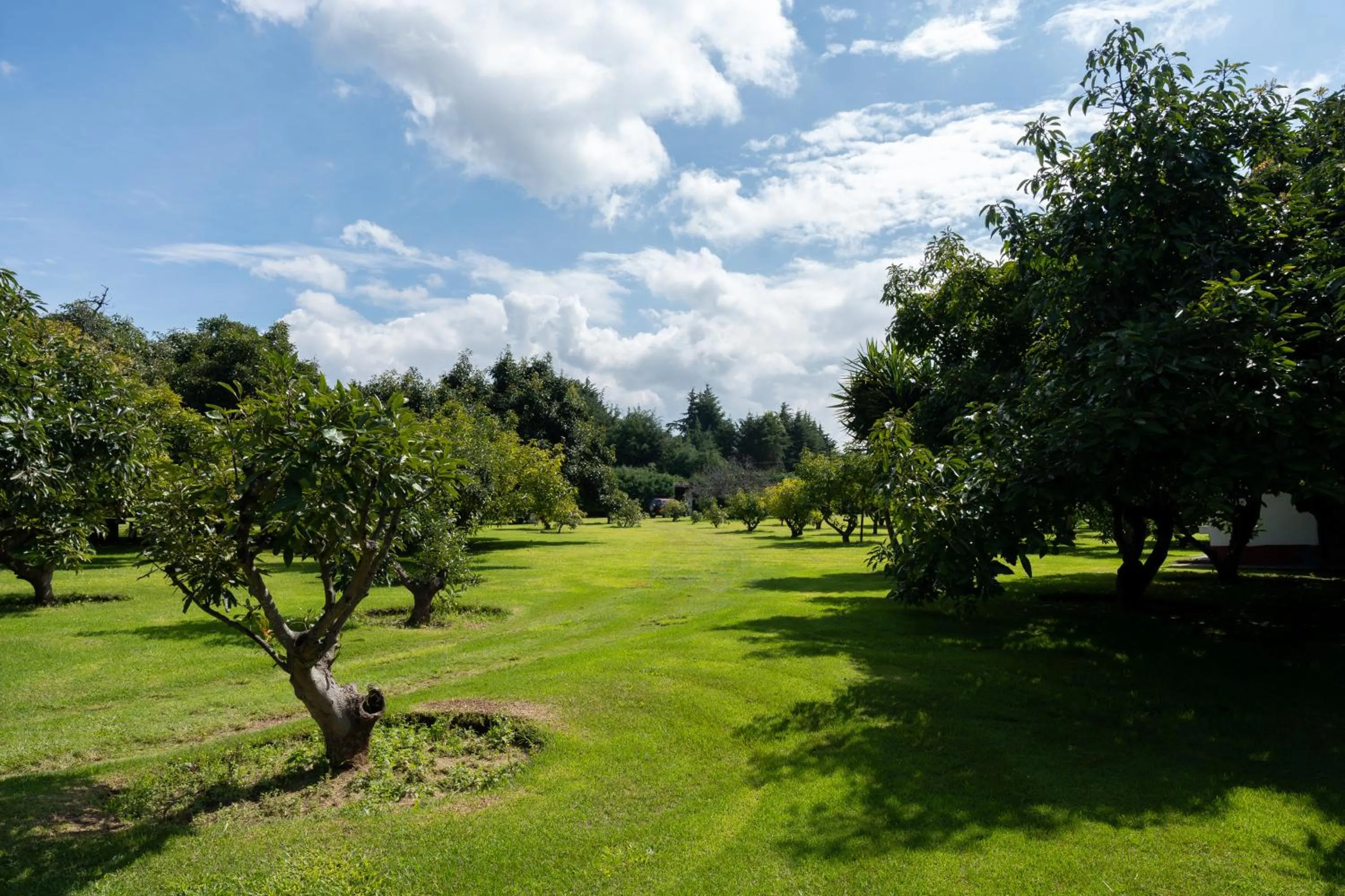 Hotel Rancho Las Margaritas