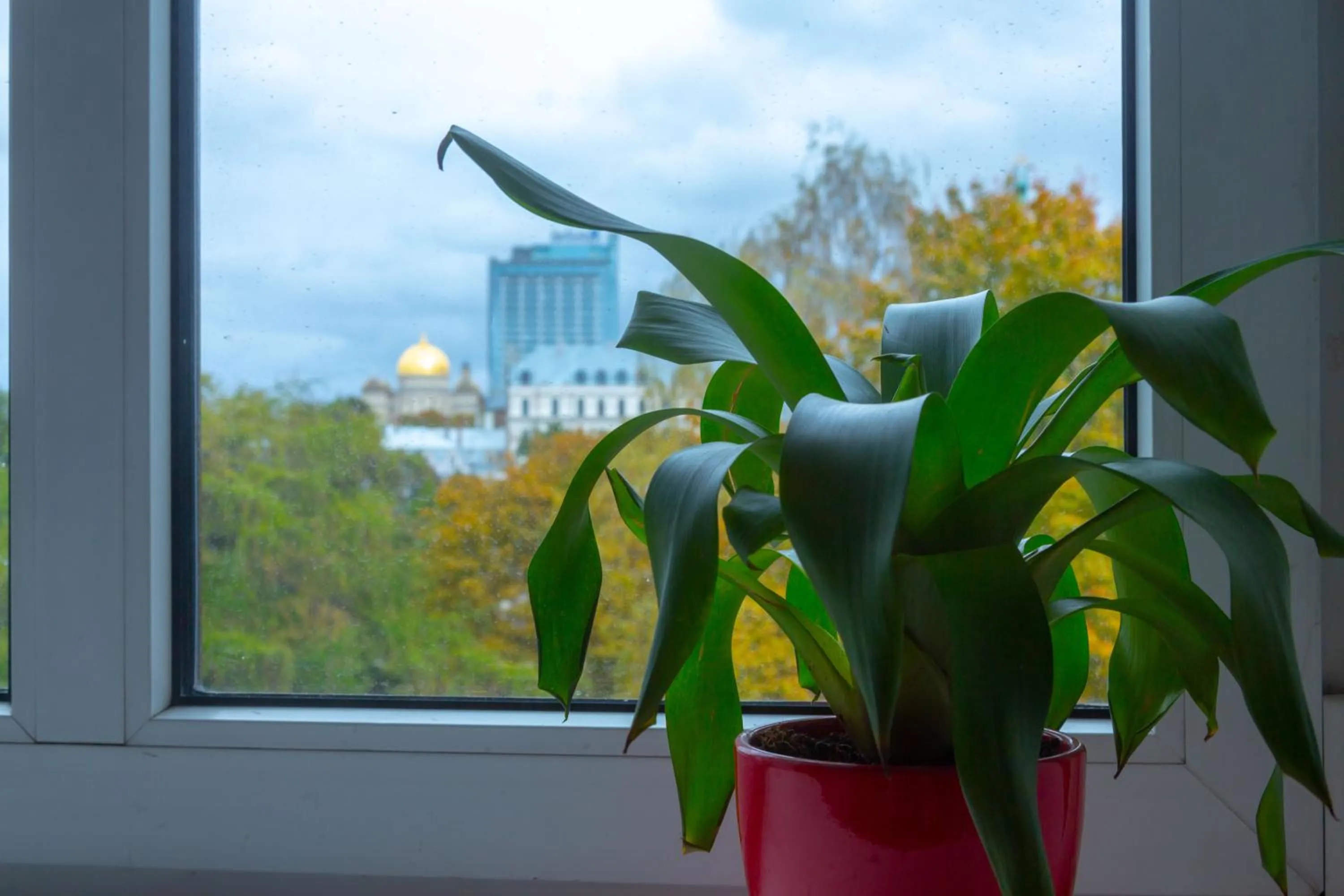 Bunk Bed in a 4-Bed Female Dormitory Room   in Liberty Airy