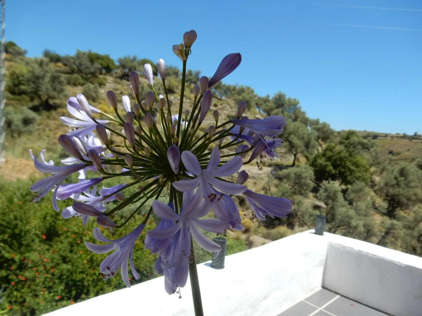 Bed and Breakfast Lagabella