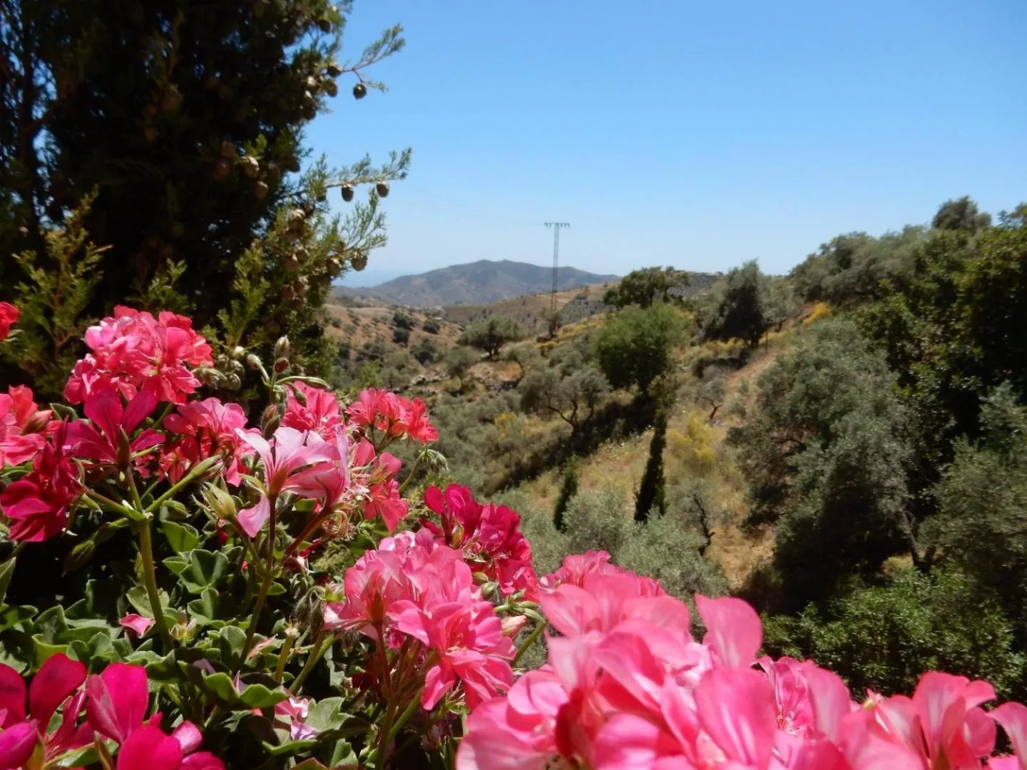 Bed and Breakfast Lagabella