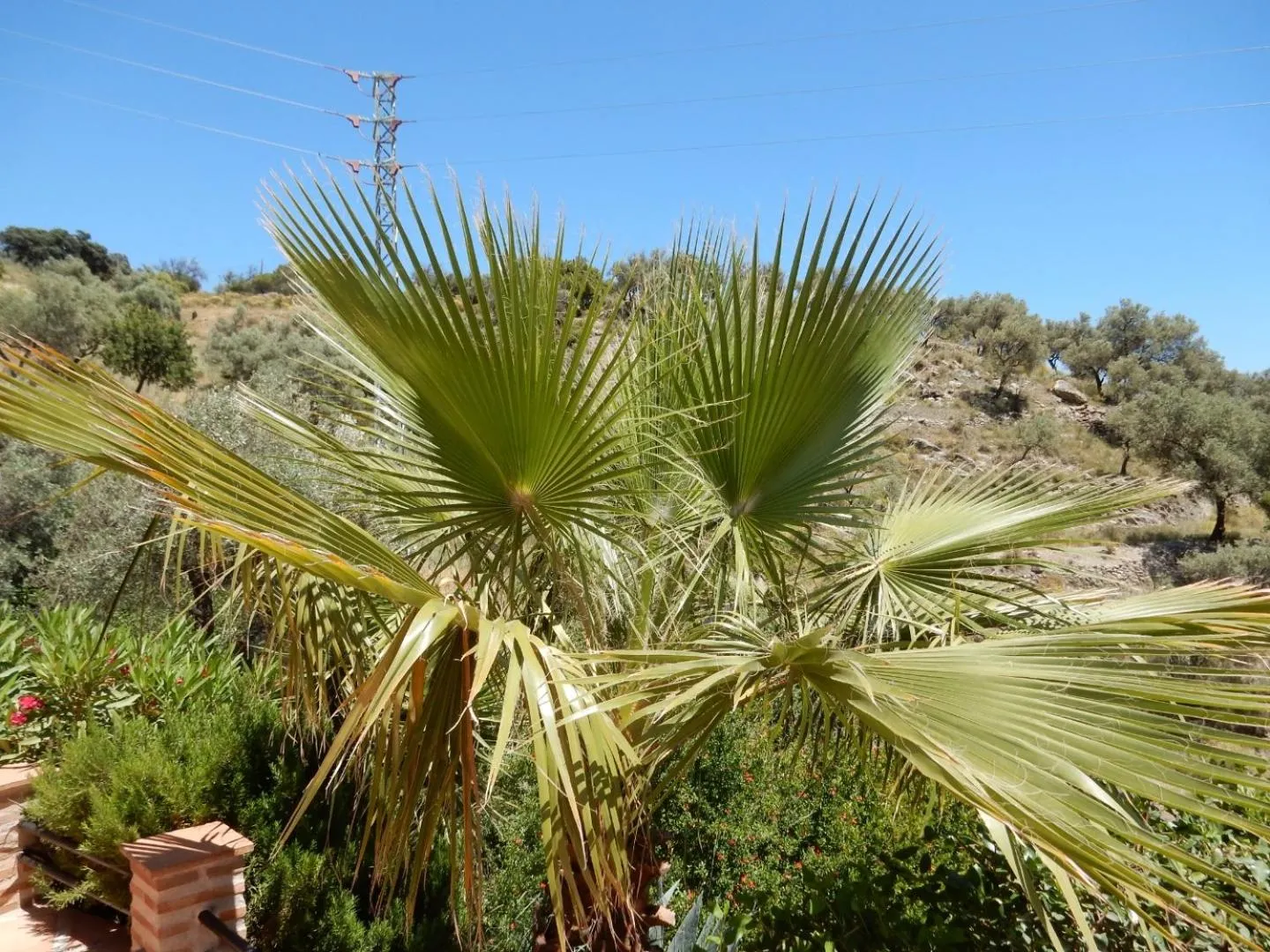 Bed and Breakfast Lagabella