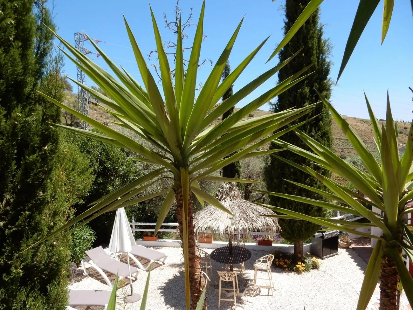 Bed and Breakfast Lagabella