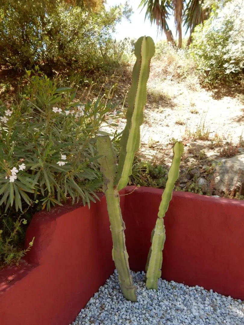 Bed and Breakfast Lagabella