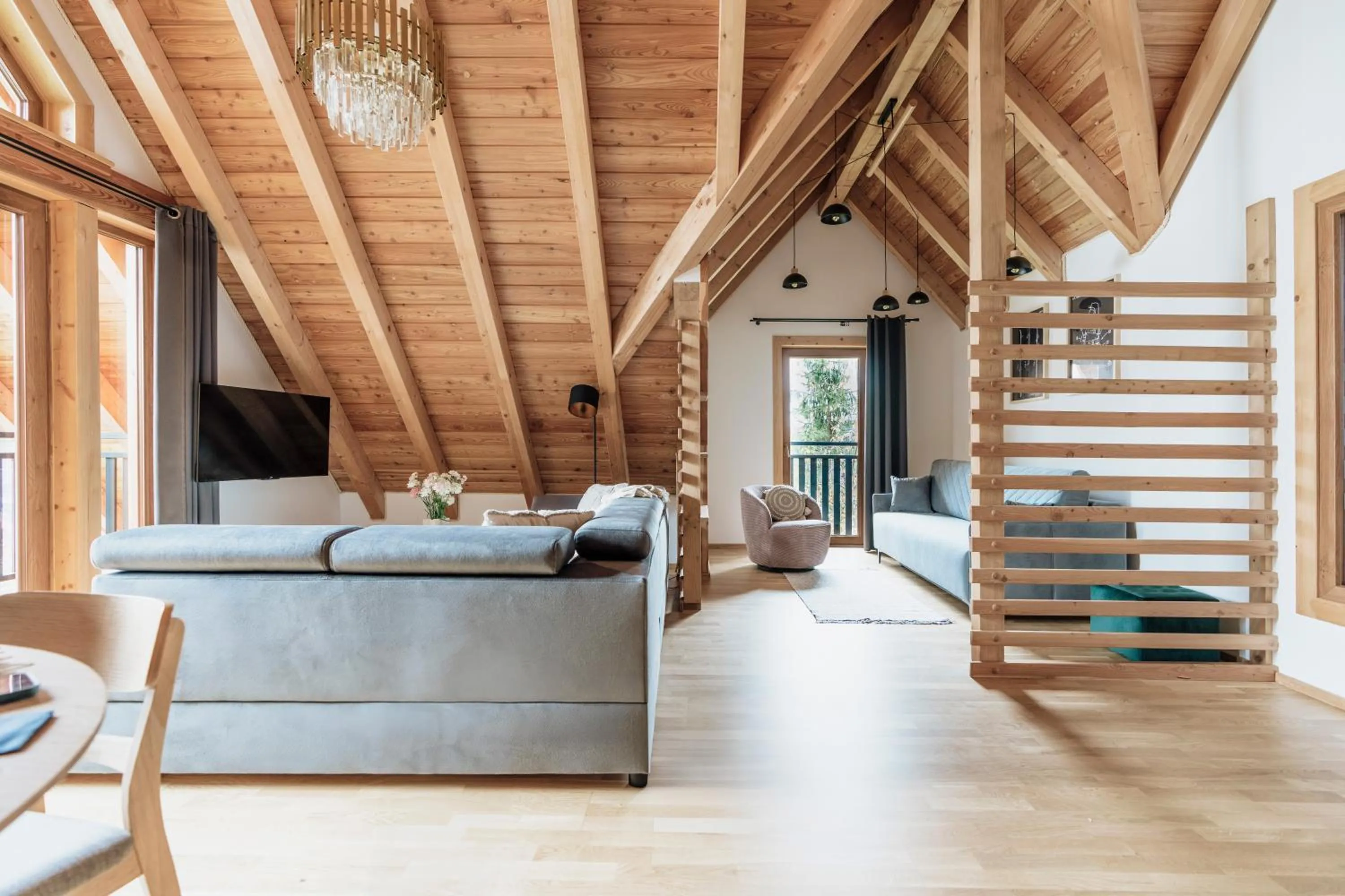 TV and multimedia in Apres Ski Bachleda - LoftAffair Collection