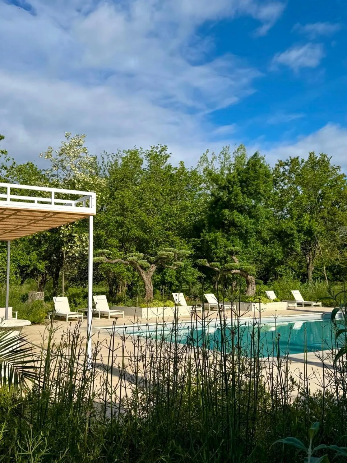 Swimming pool in Chateau Pimo