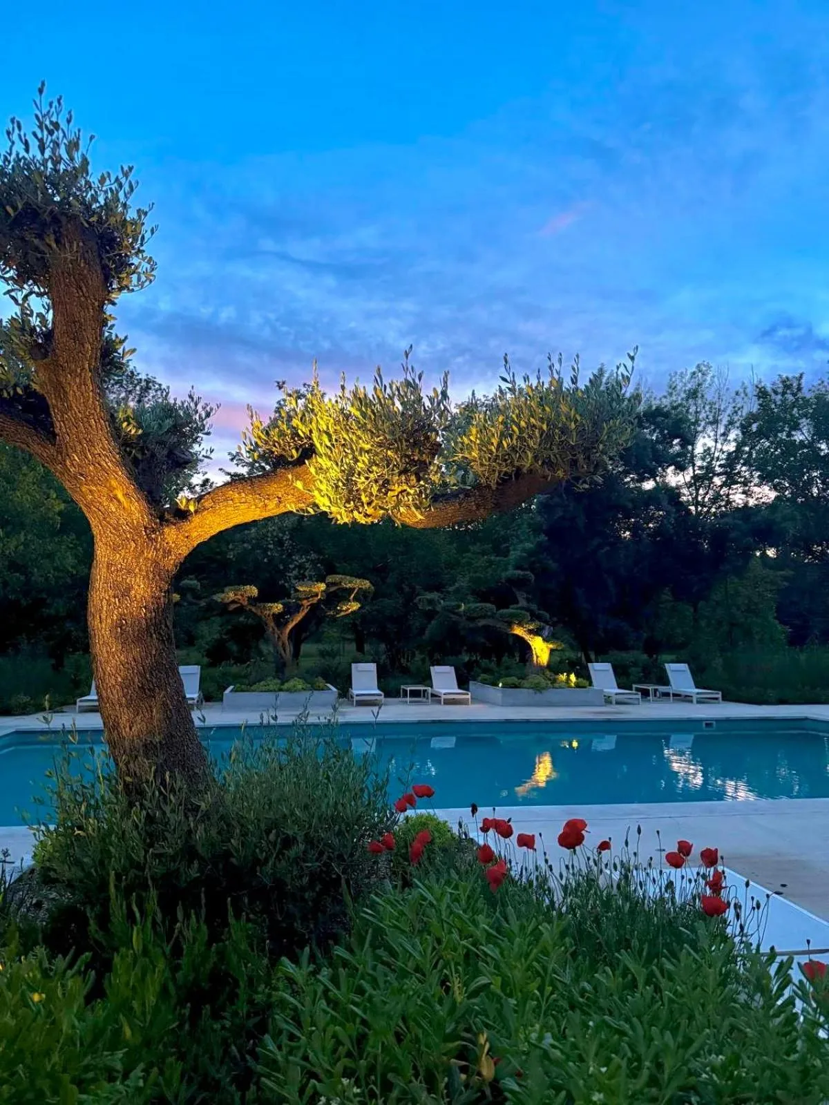 Swimming pool in Chateau Pimo