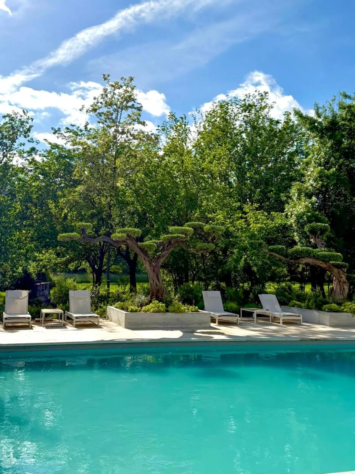 Swimming pool in Chateau Pimo