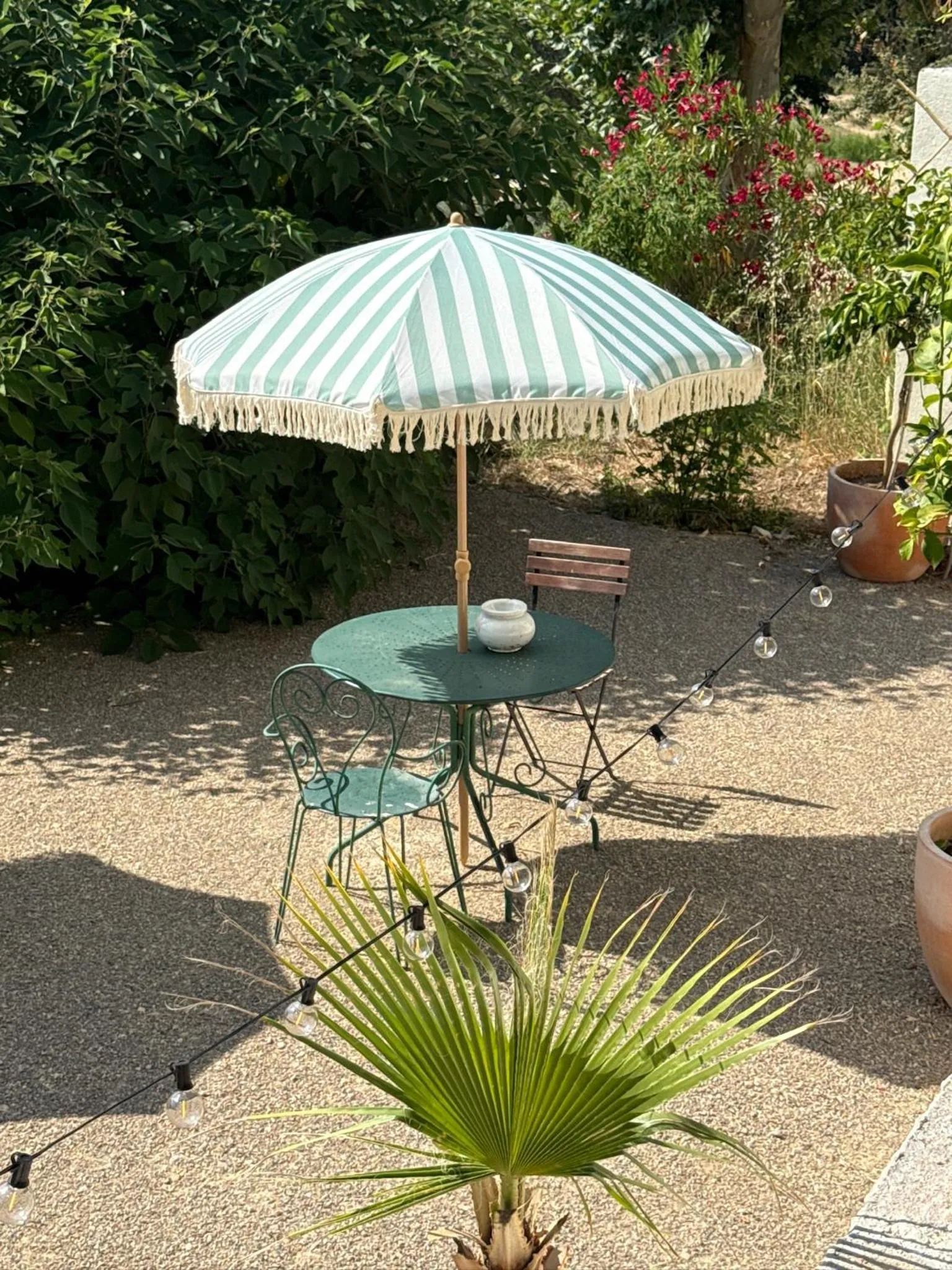 Garden in Chateau Pimo