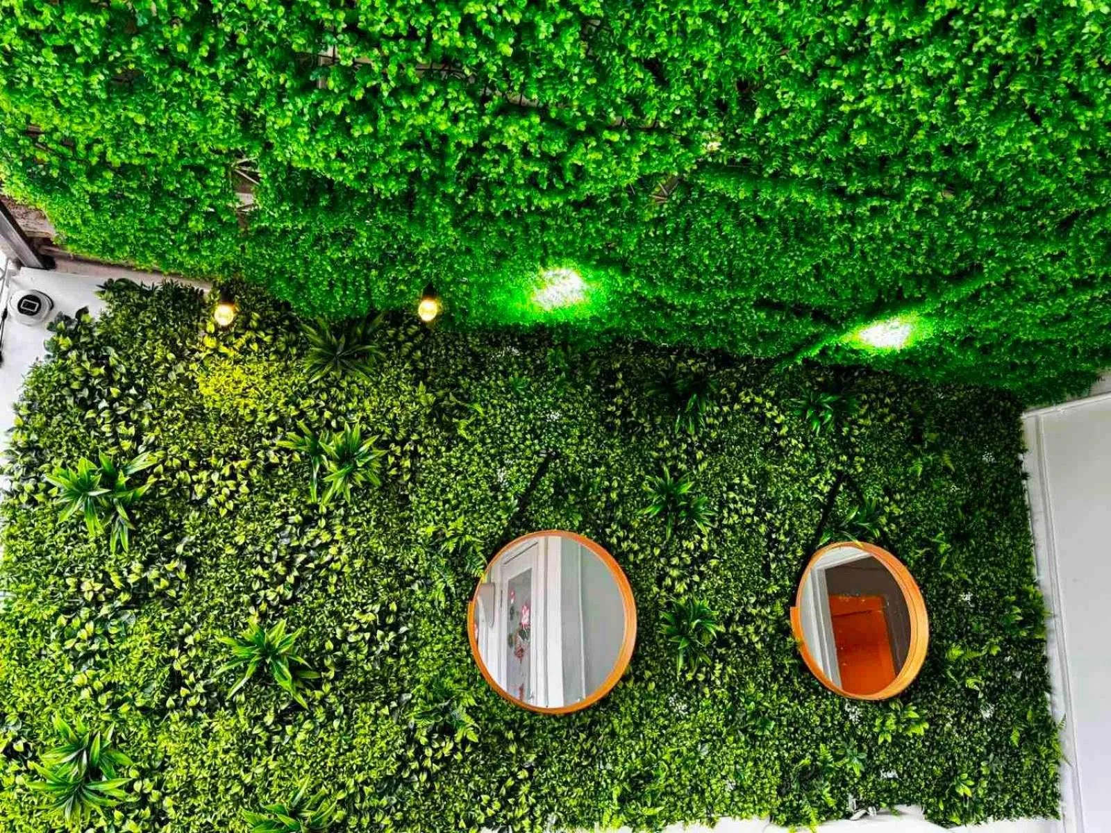 Garden view in Comfy Crib Hostel 2