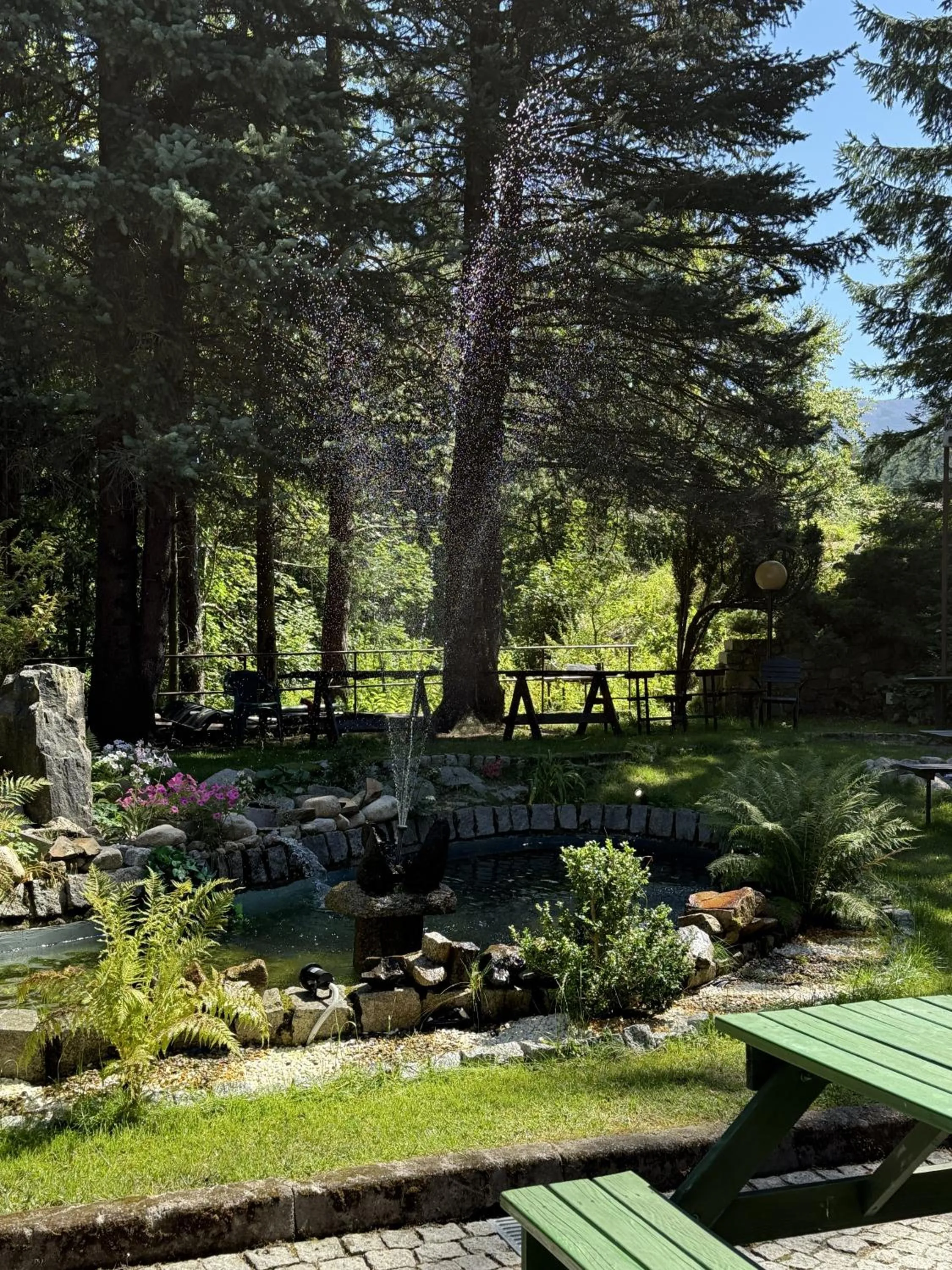 Spring in Dom Wczasowo Rekreacyjny Zgoda