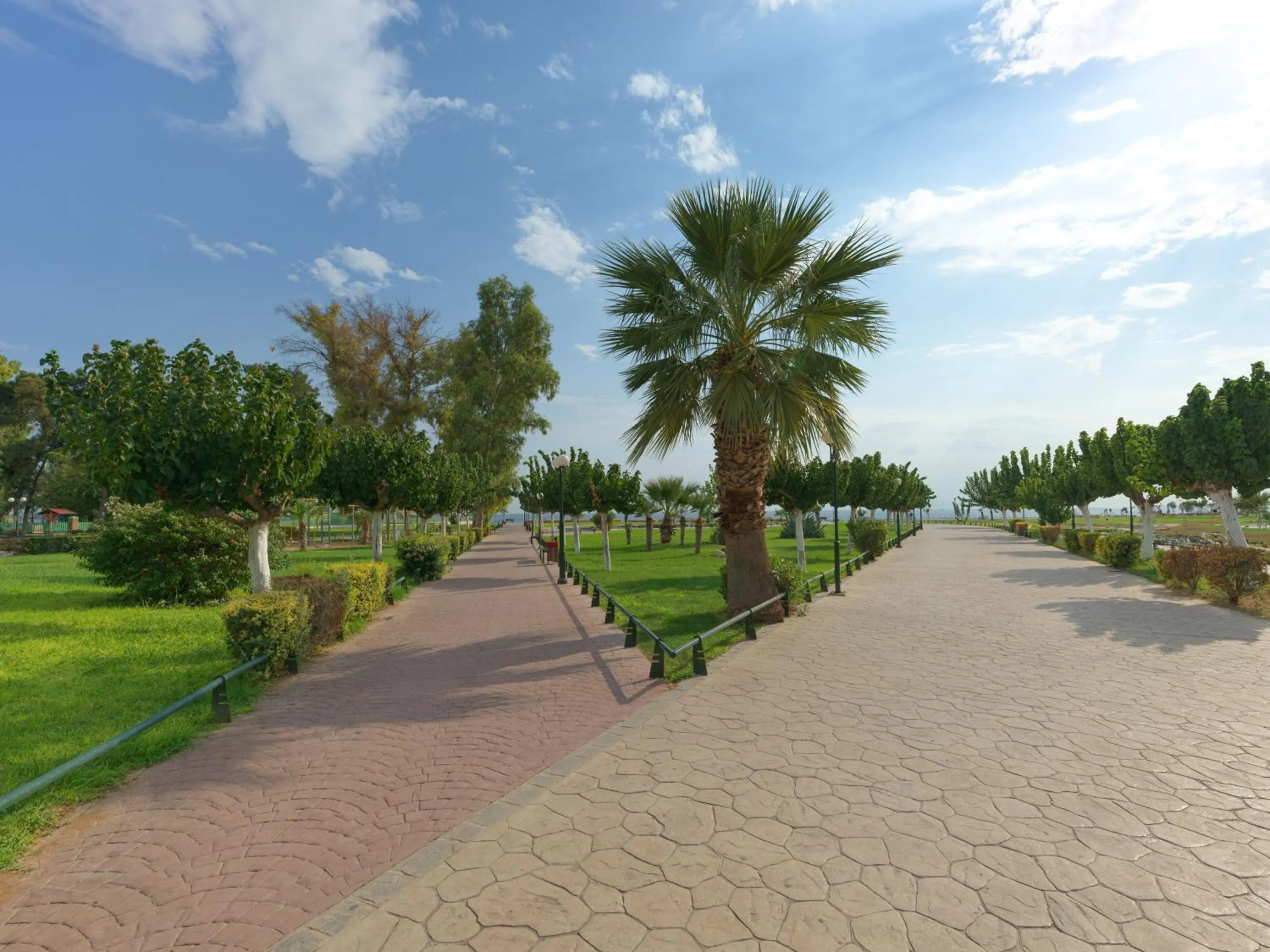 Natural landscape in YaPe Coastal Suites at Alimos Beach