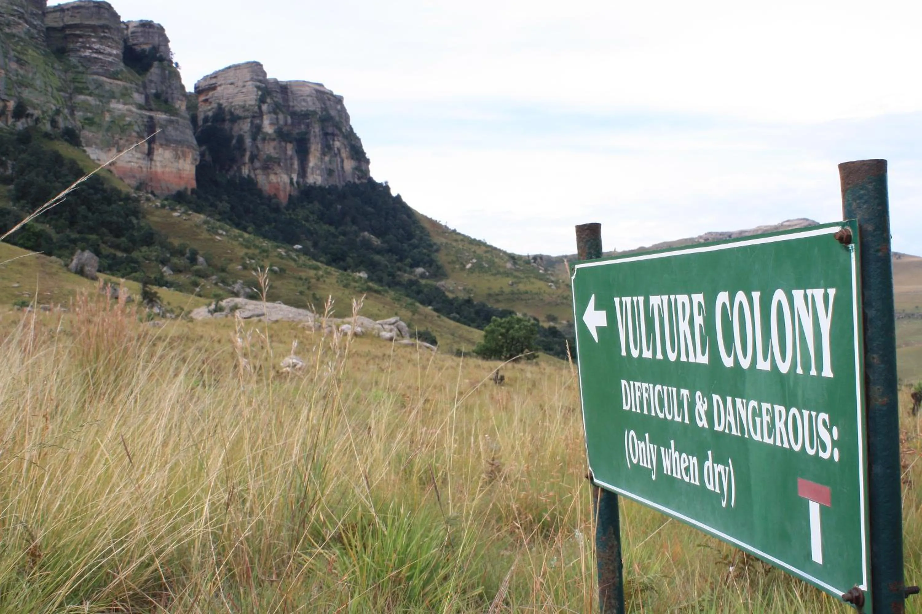 Hiking in Greenfire Drakensberg Lodge