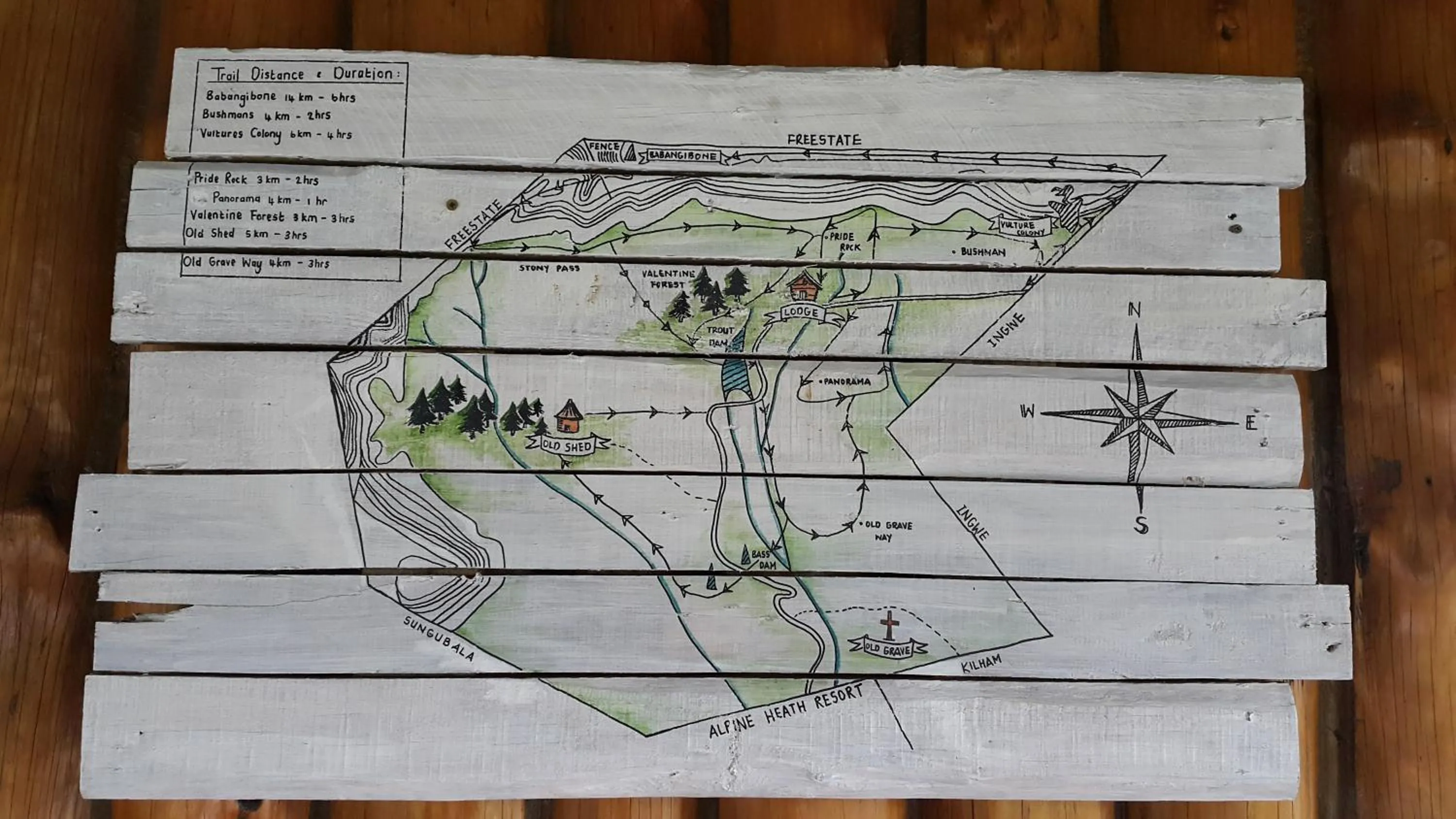 Horse-riding in Greenfire Drakensberg Lodge