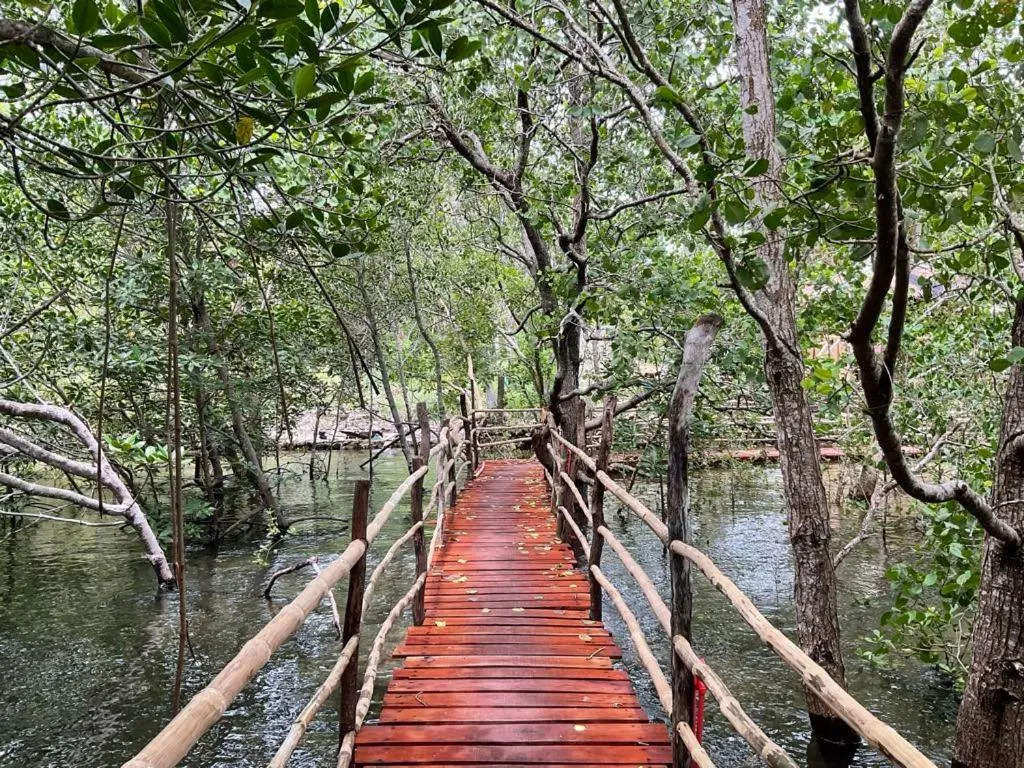 Natural landscape in Kerusso Haven
