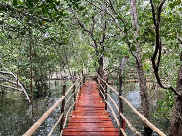 Kerusso Haven