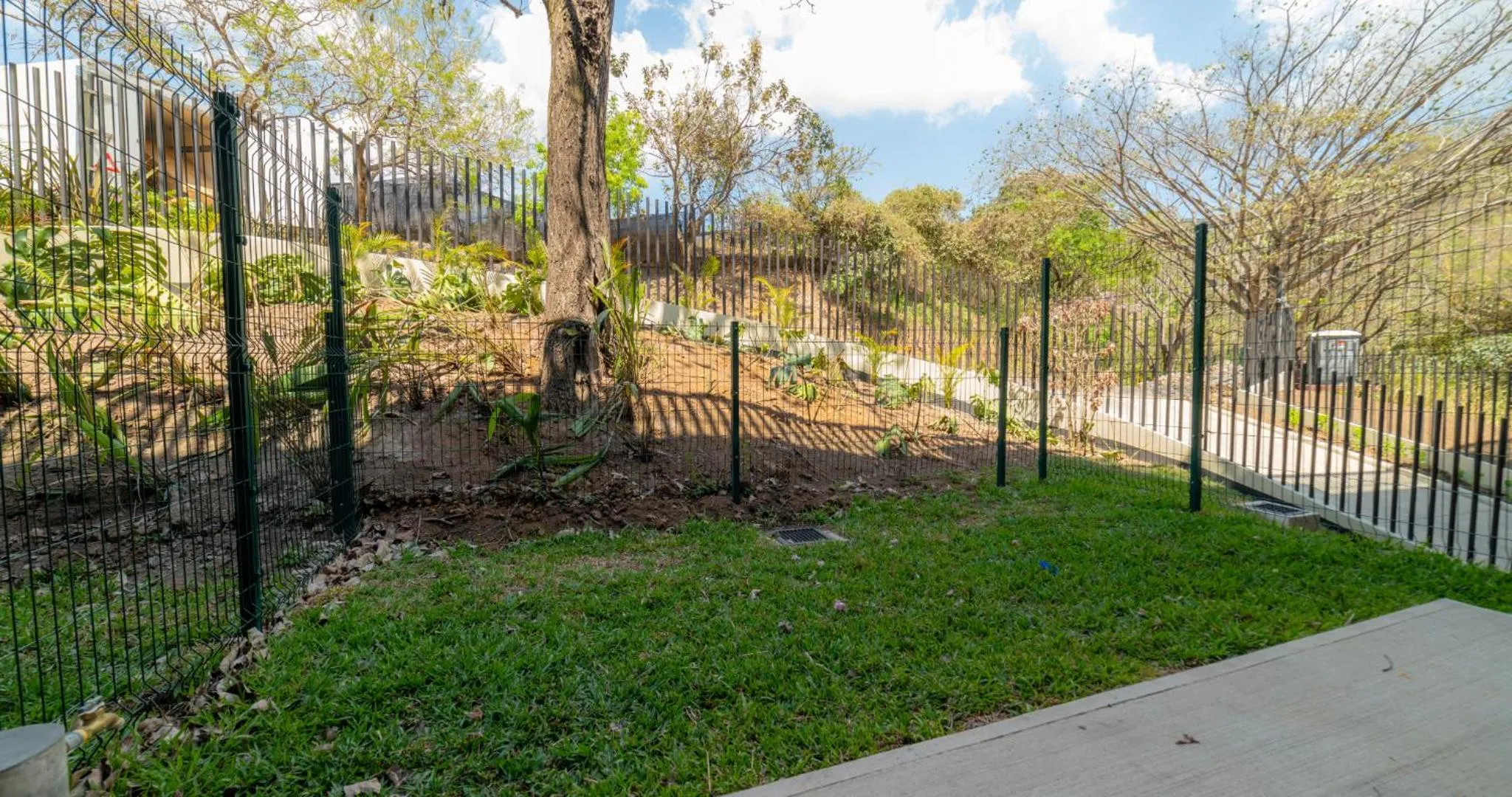 Day in BEE Suites San José - Santa Ana