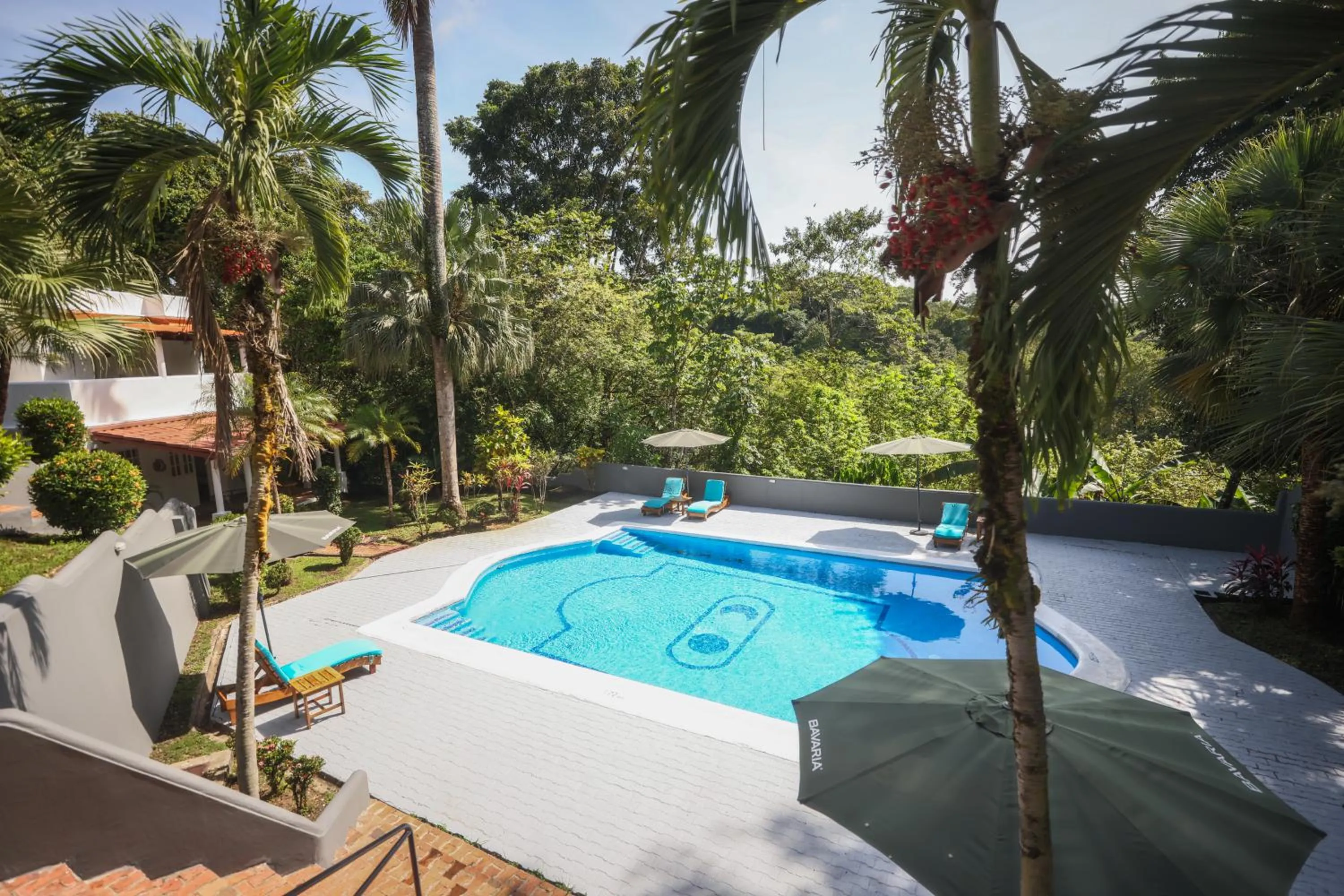 Natural landscape in Alma Vida Hotel