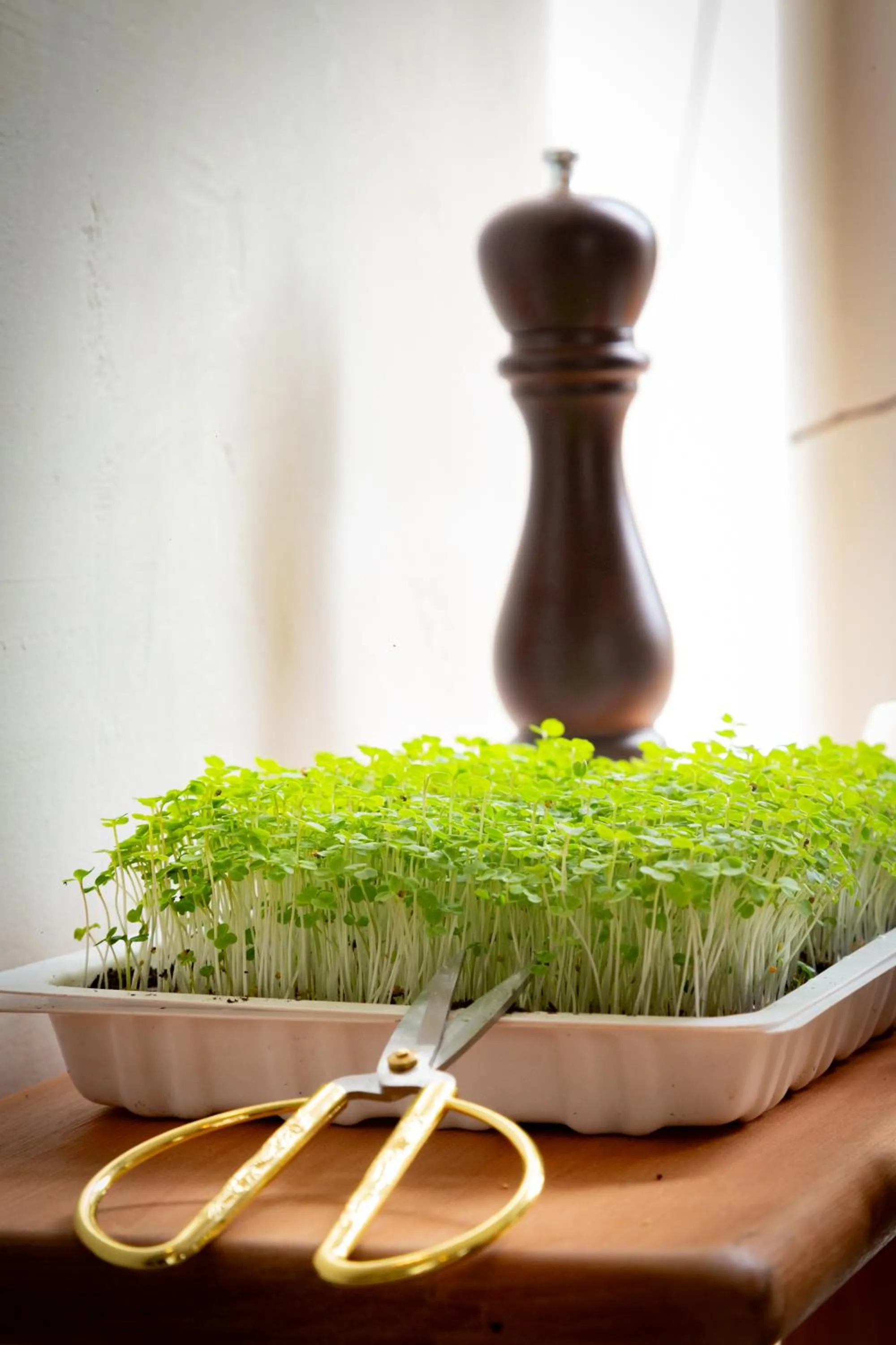 Buffet breakfast in Casa Lahusen