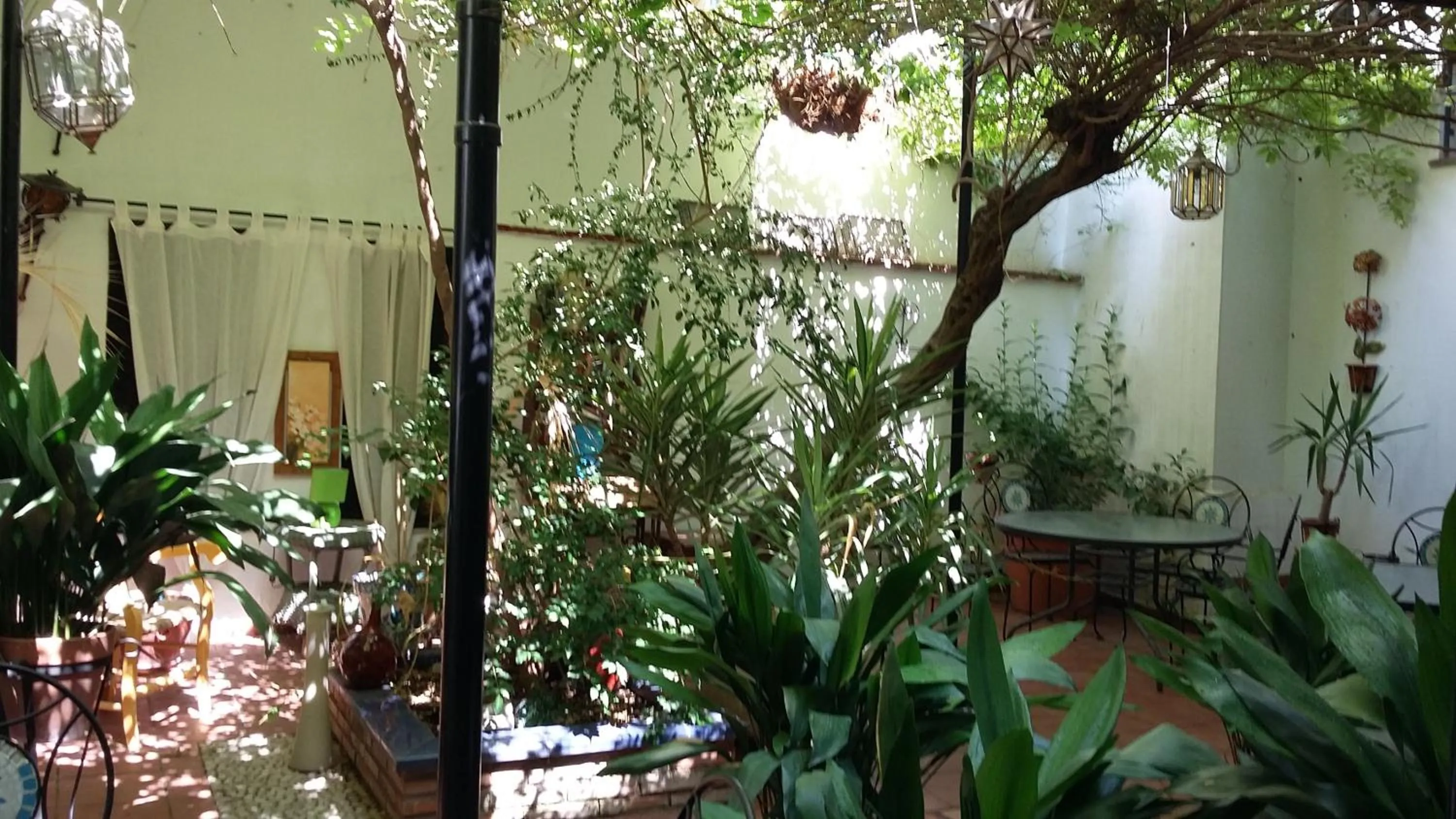 Garden in Hostal Costa Azul