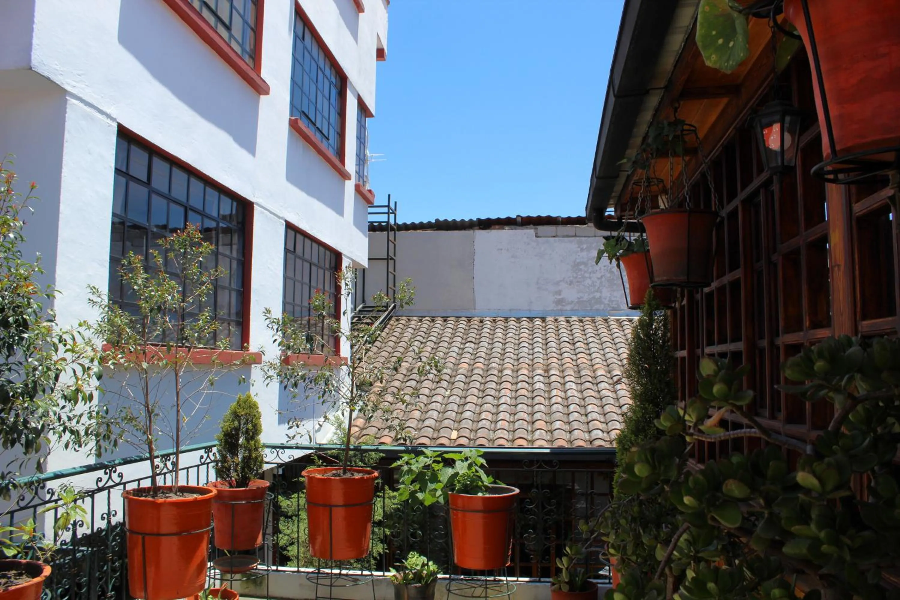 Balcony/Terrace in Apart Hotel Loma Chica Quito