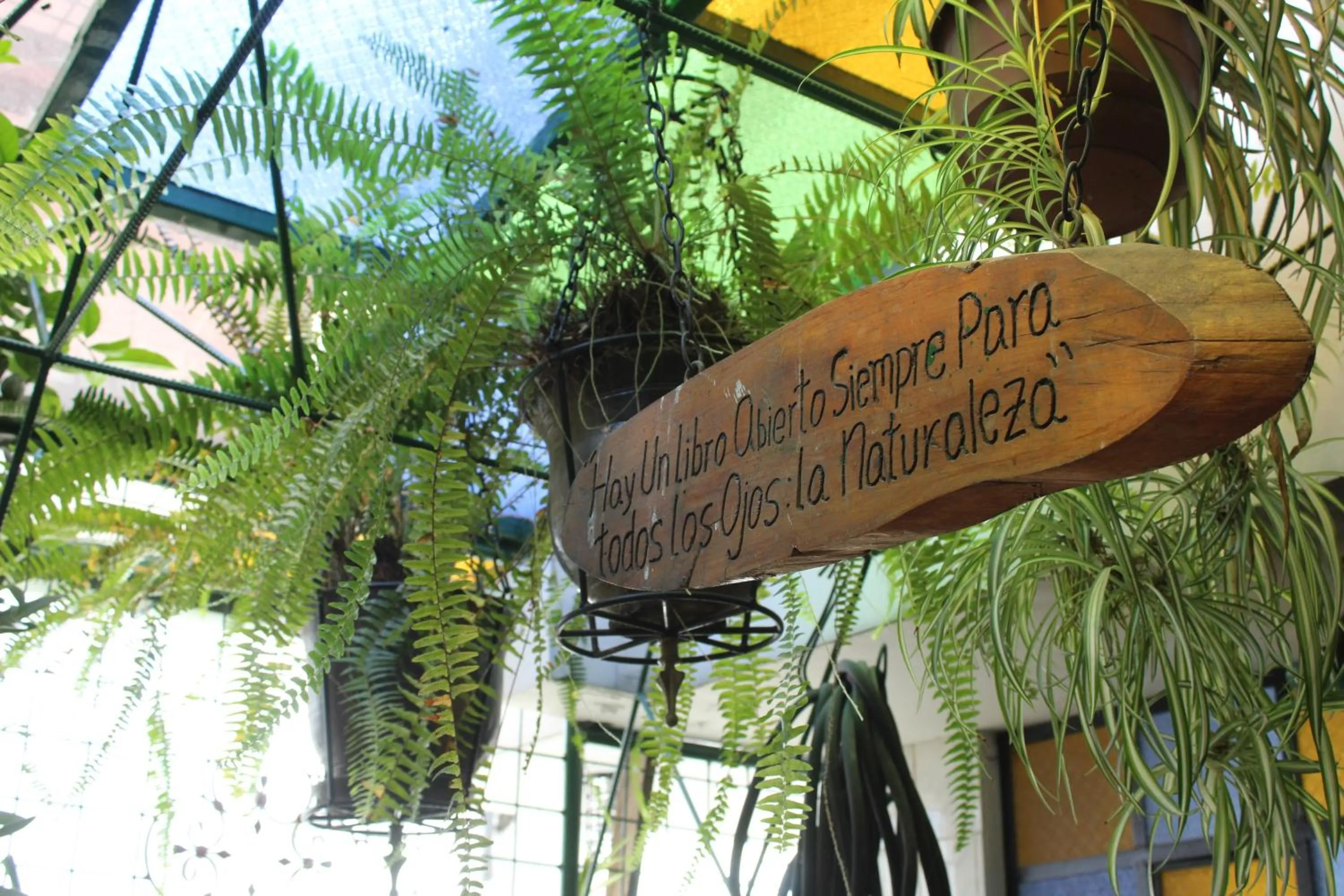 Garden in Apart Hotel Loma Chica Quito