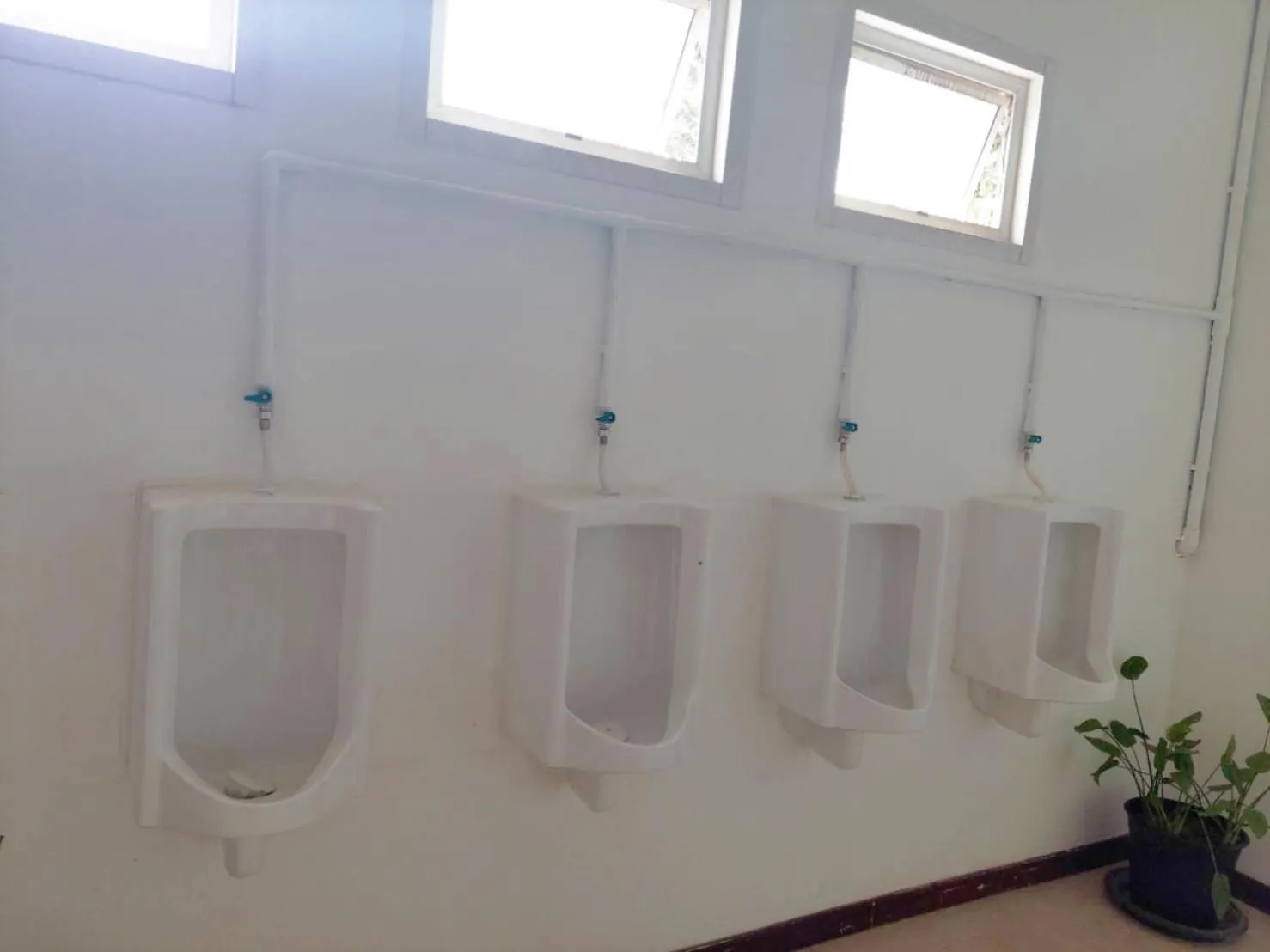 Bathroom in The Beachfront Hostel