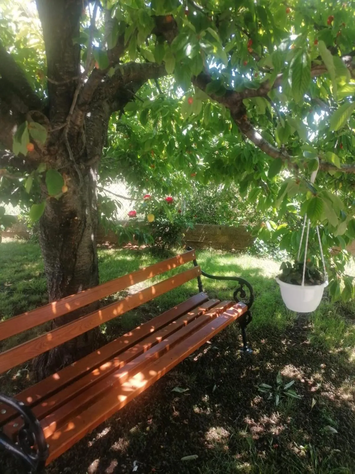 Apartment Ferara
