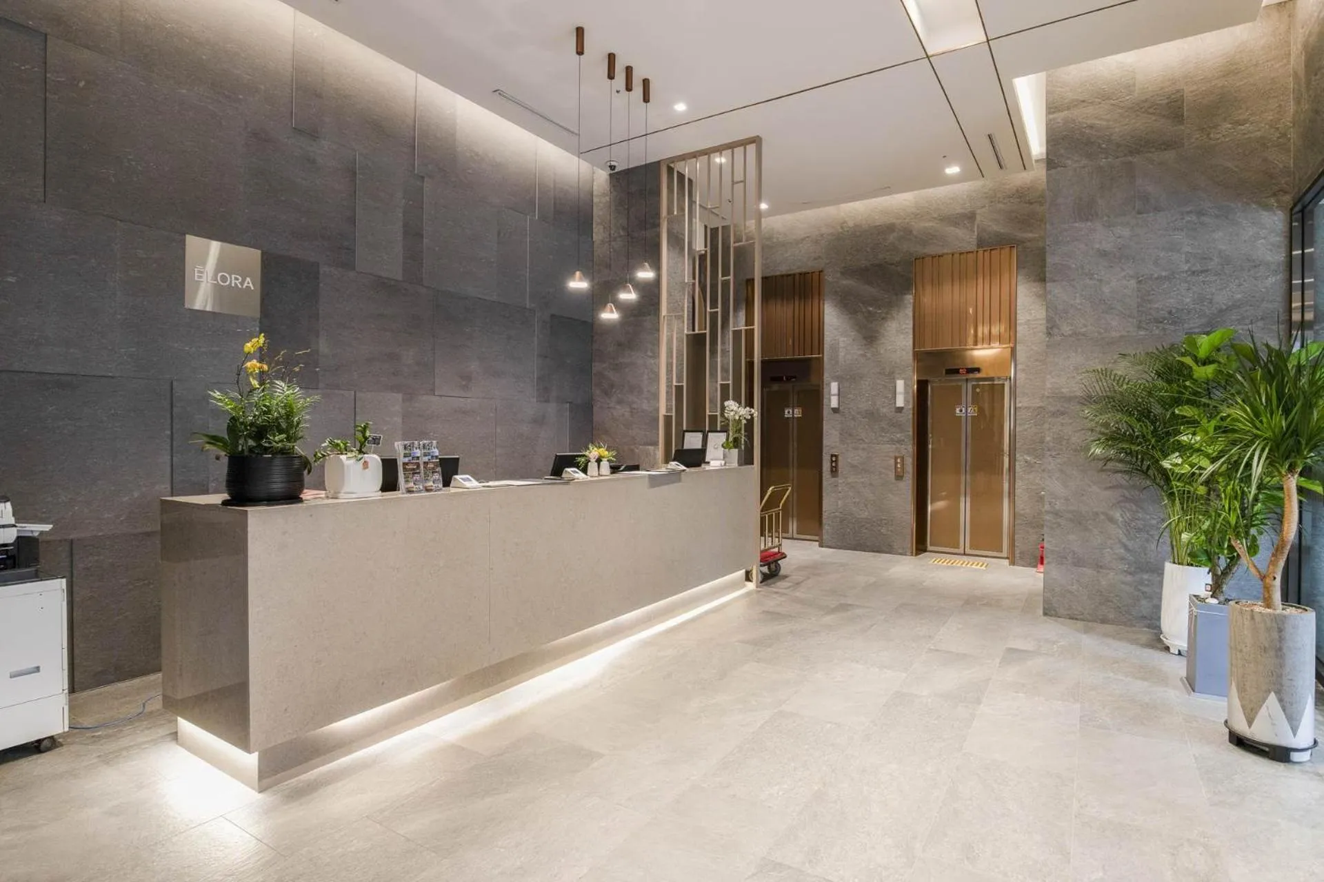 Lobby or reception in Hotel Elora