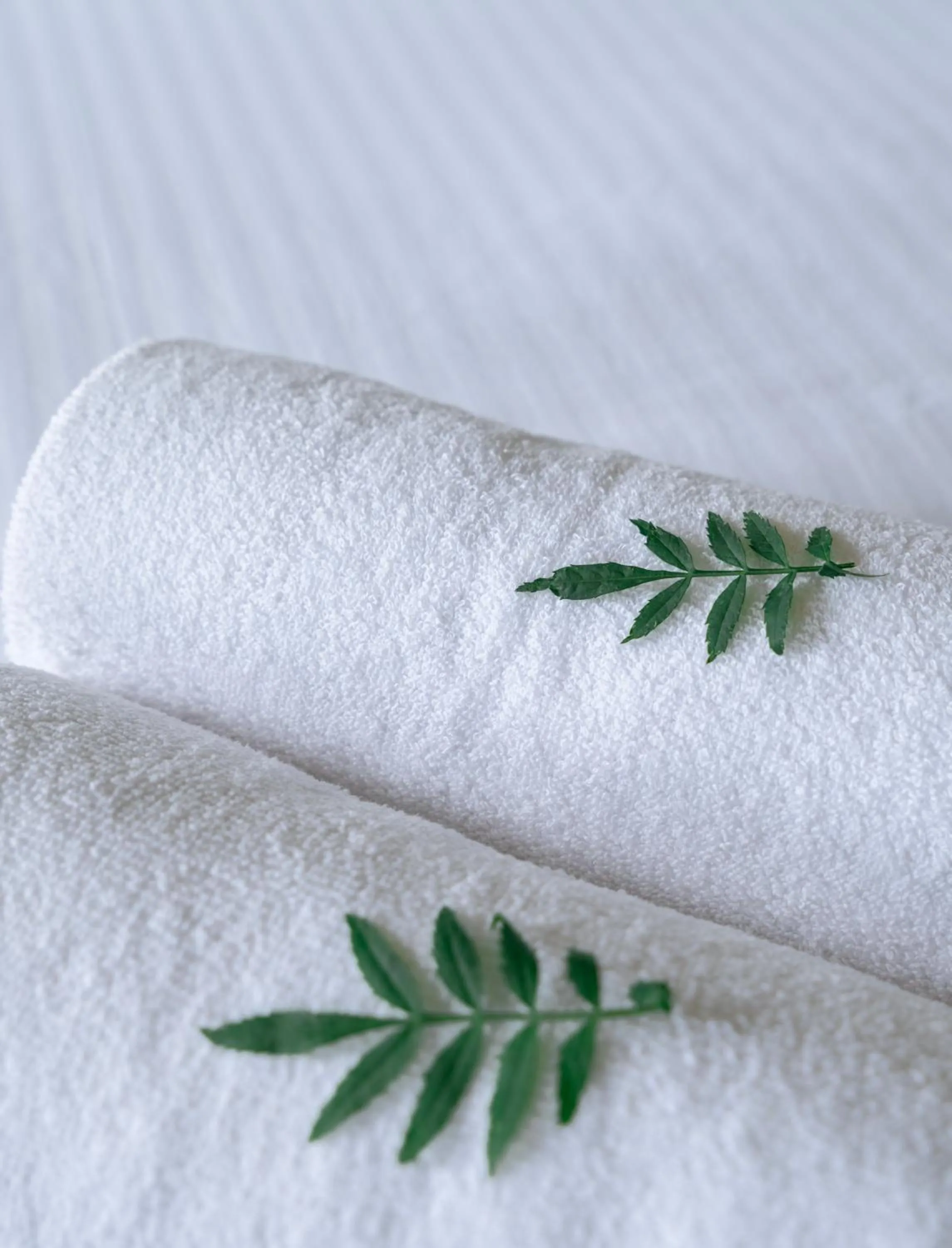 towels in The Cardamom Thekkady