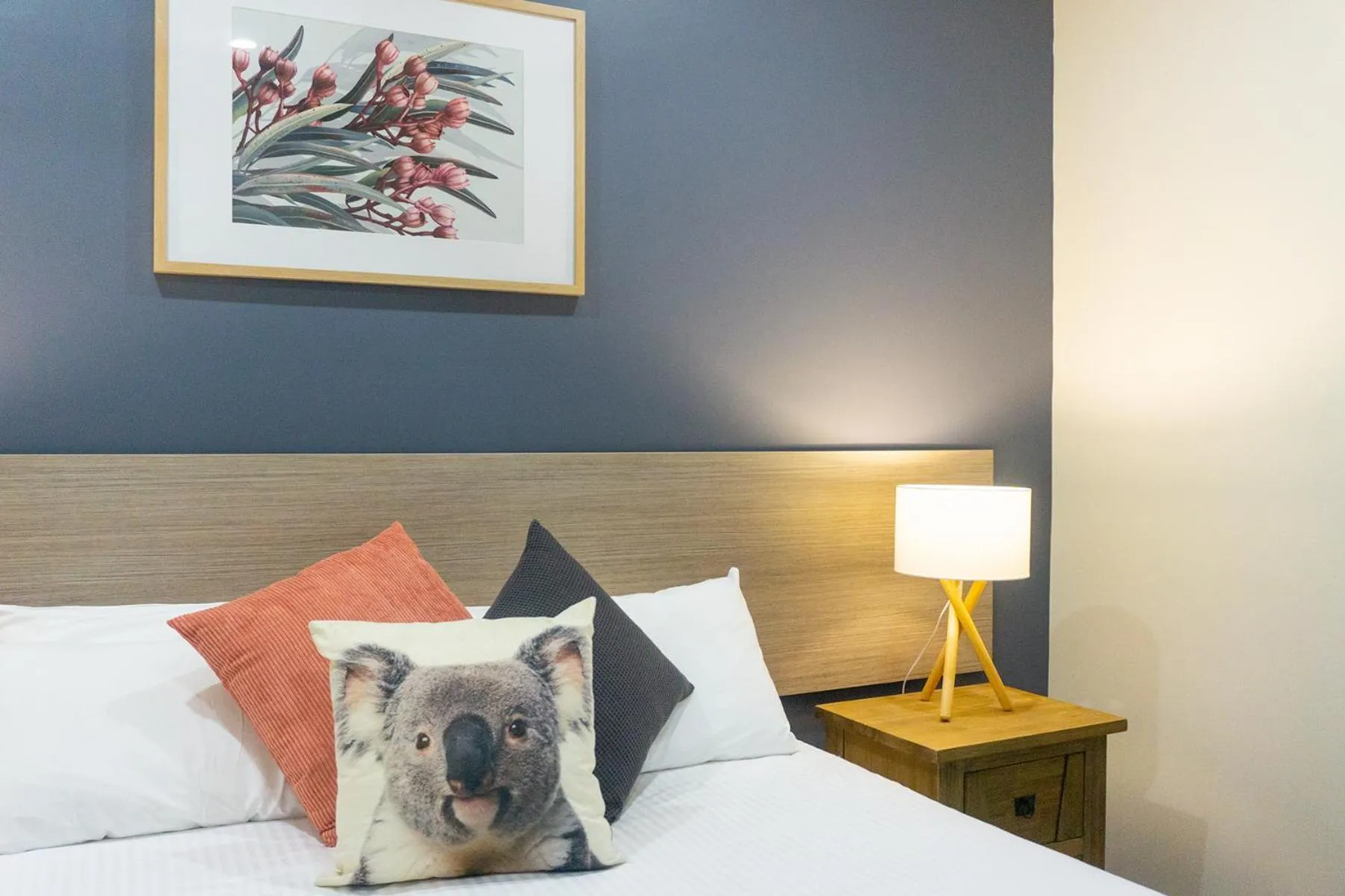 Bed in Port Stephens Koala Sanctuary