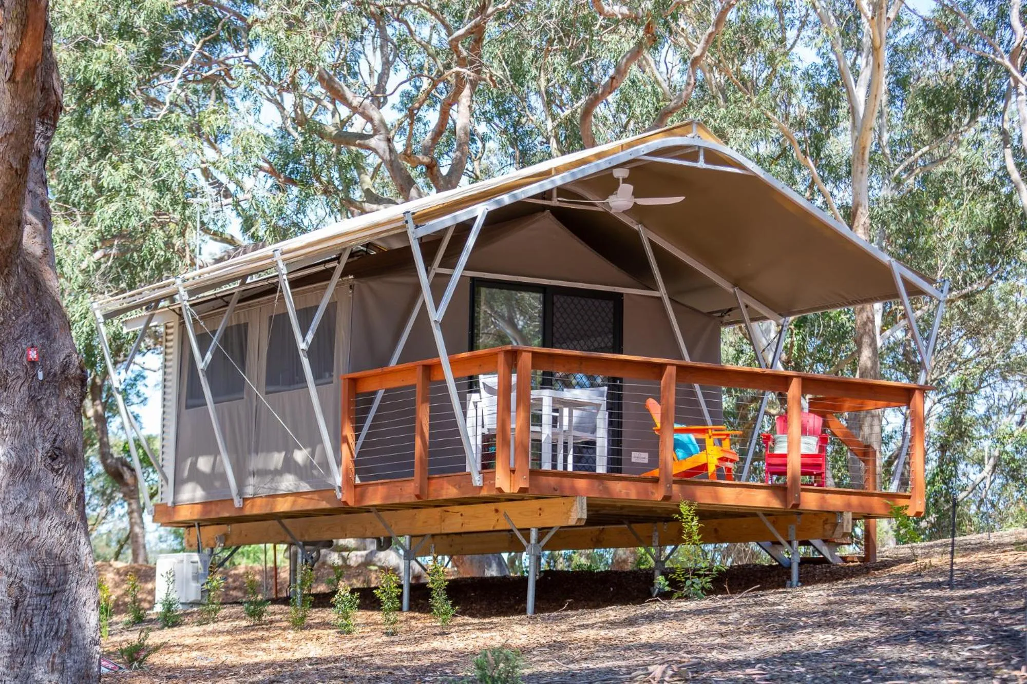 Deluxe Glamping Tent in Port Stephens Koala Sanctuary