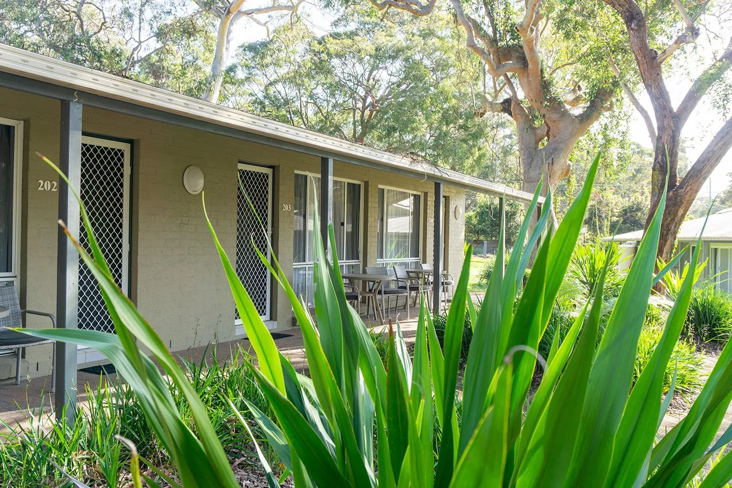 Port Stephens Koala Sanctuary