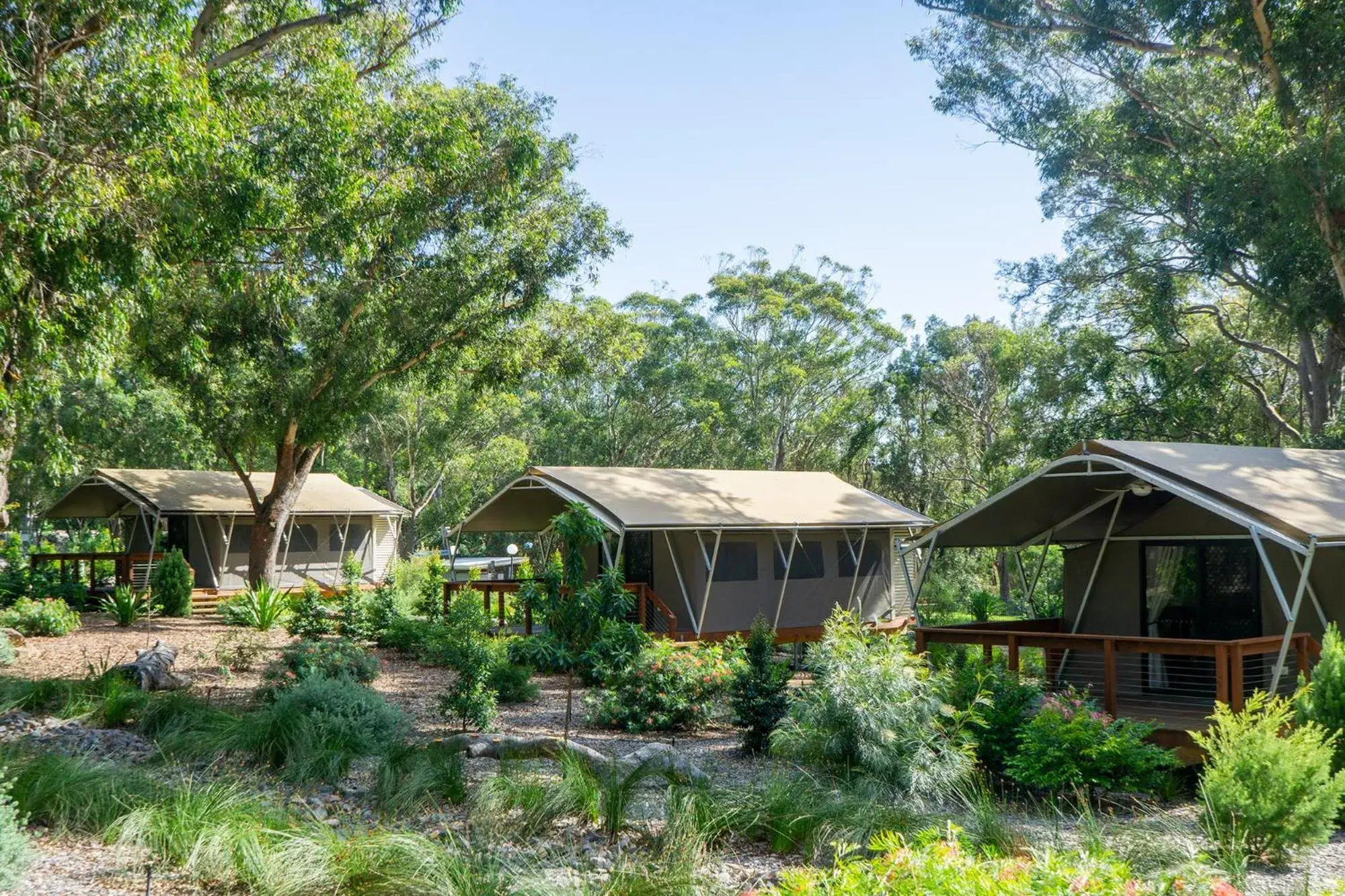 Superior Glamping Tent in Port Stephens Koala Sanctuary Superior Glamping Tent in Port Stephens Koala Sanctuary