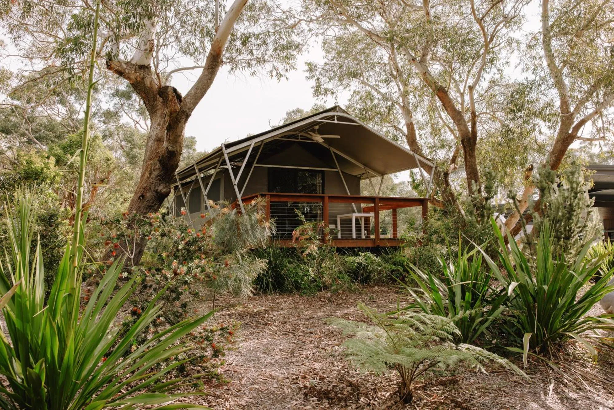 Port Stephens Koala Sanctuary