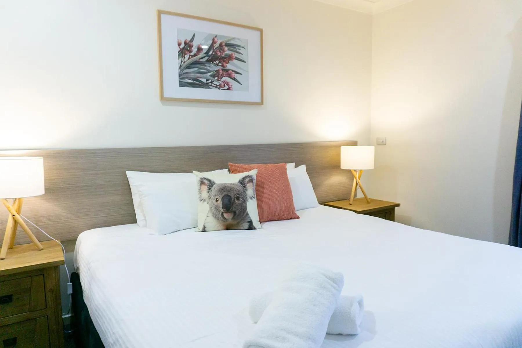 Bed in Port Stephens Koala Sanctuary