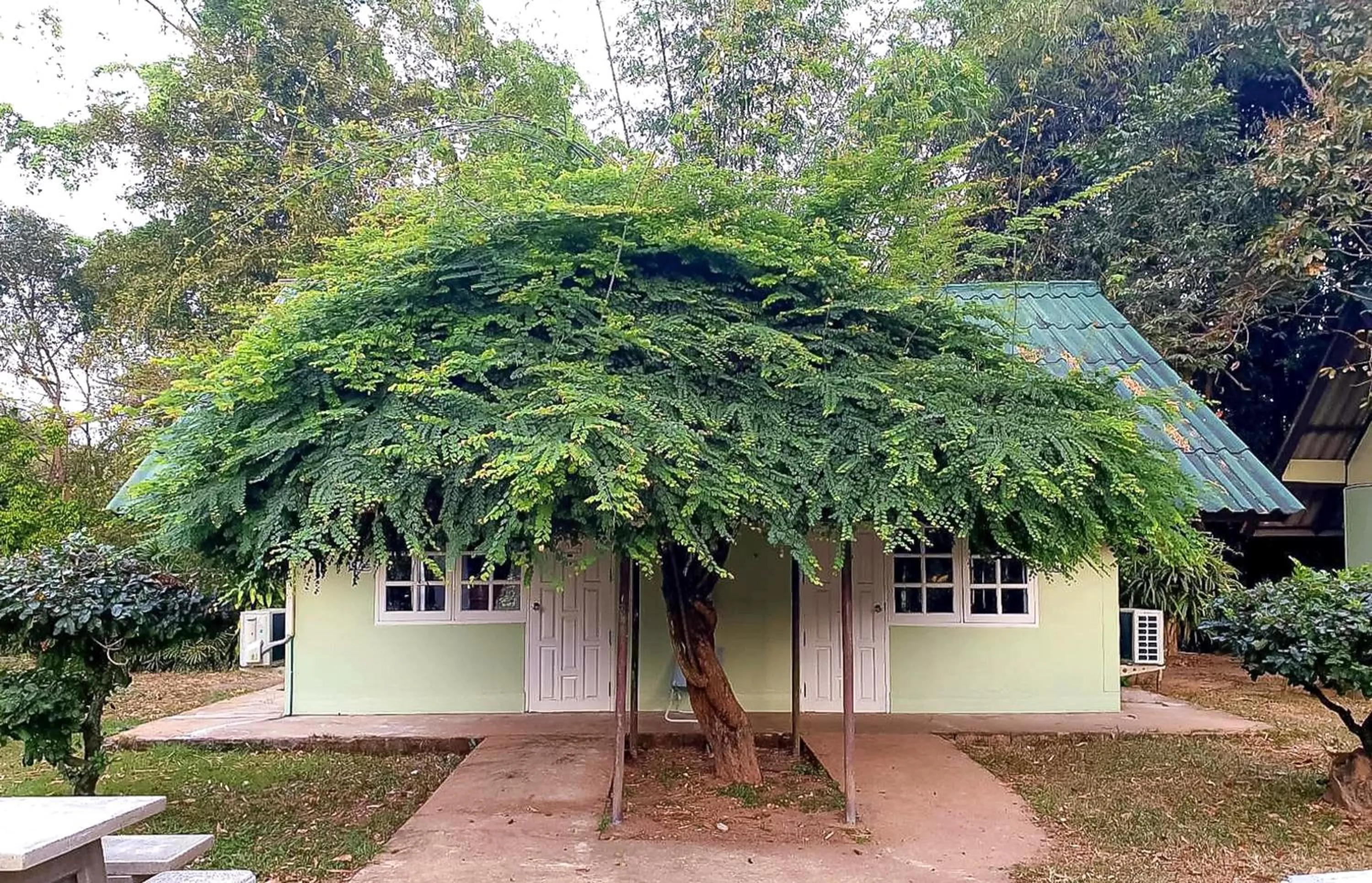 Property building in Saksupha Resort