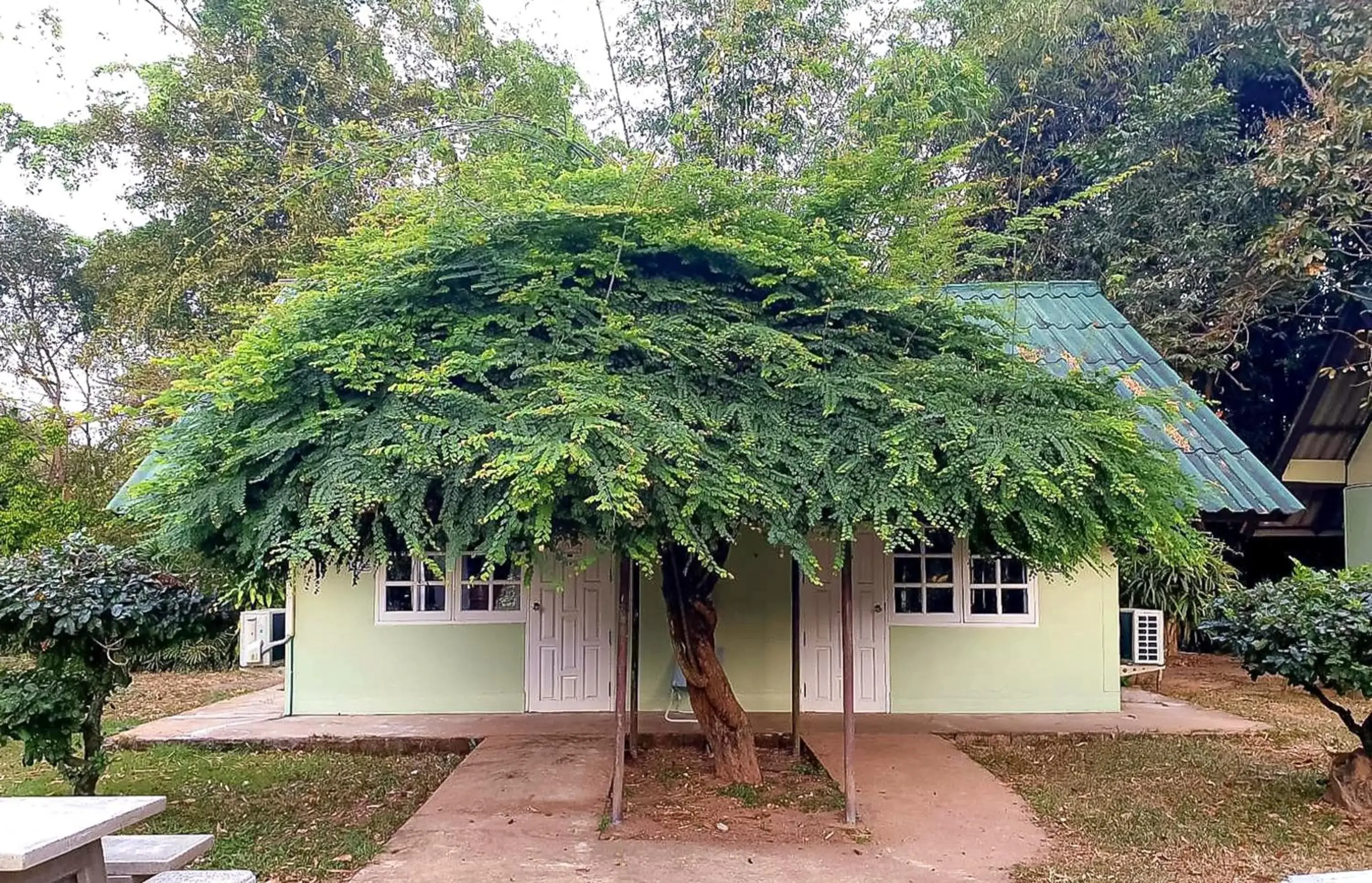 Property building in Saksupha Resort Property building in Saksupha Resort