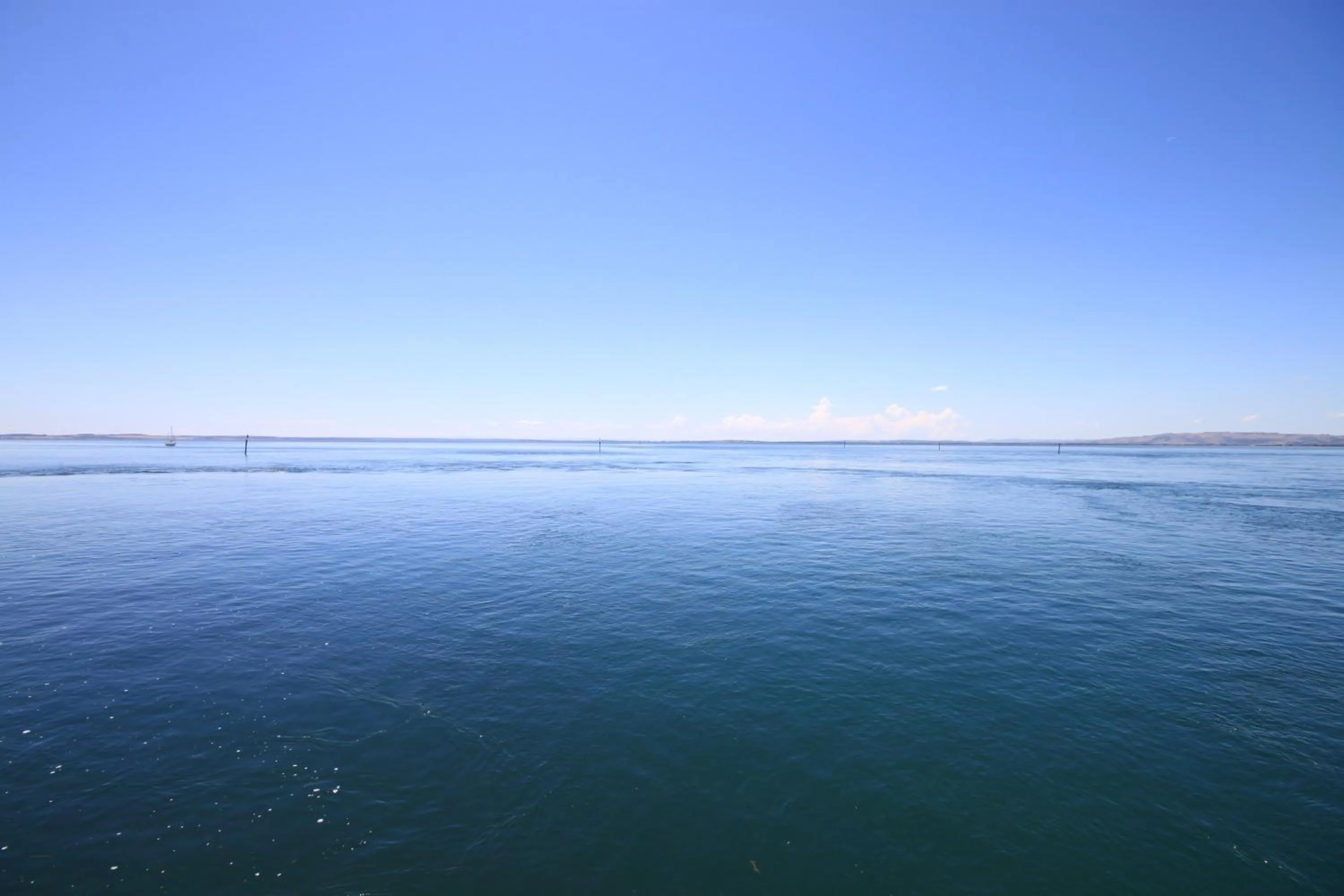 Pelicans Motel San Remo