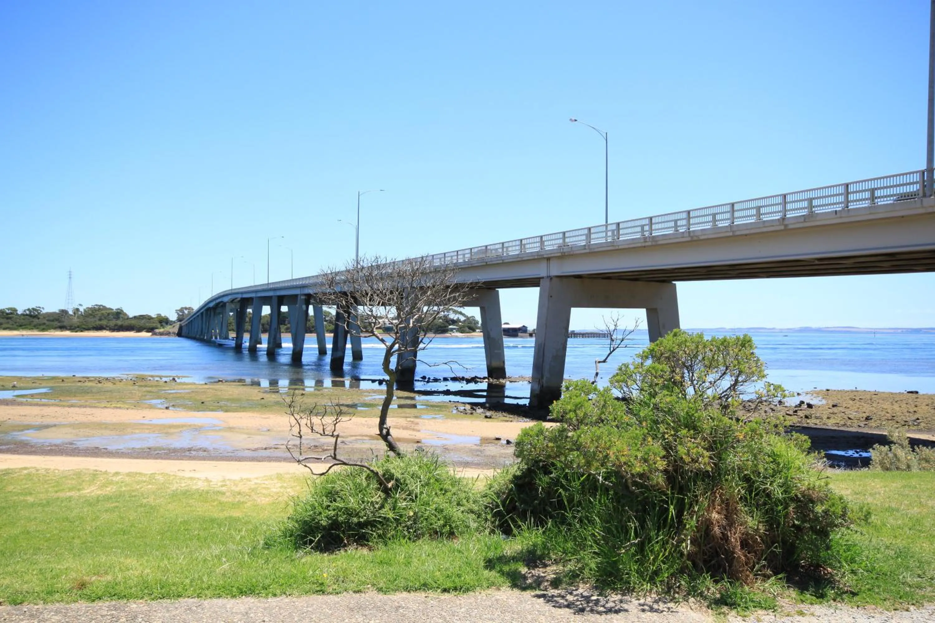 Pelicans Motel San Remo
