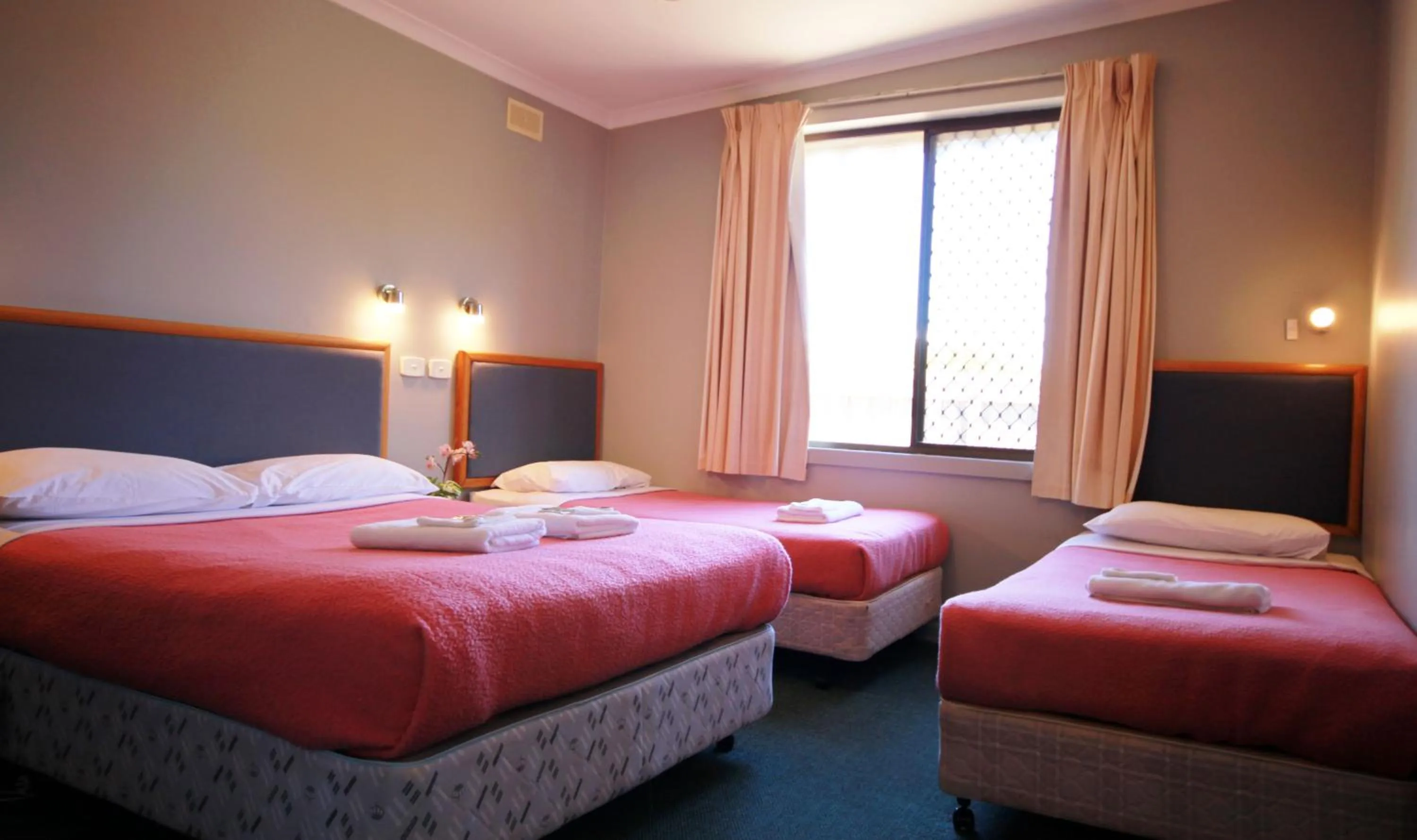 Bed in Pelicans Motel San Remo